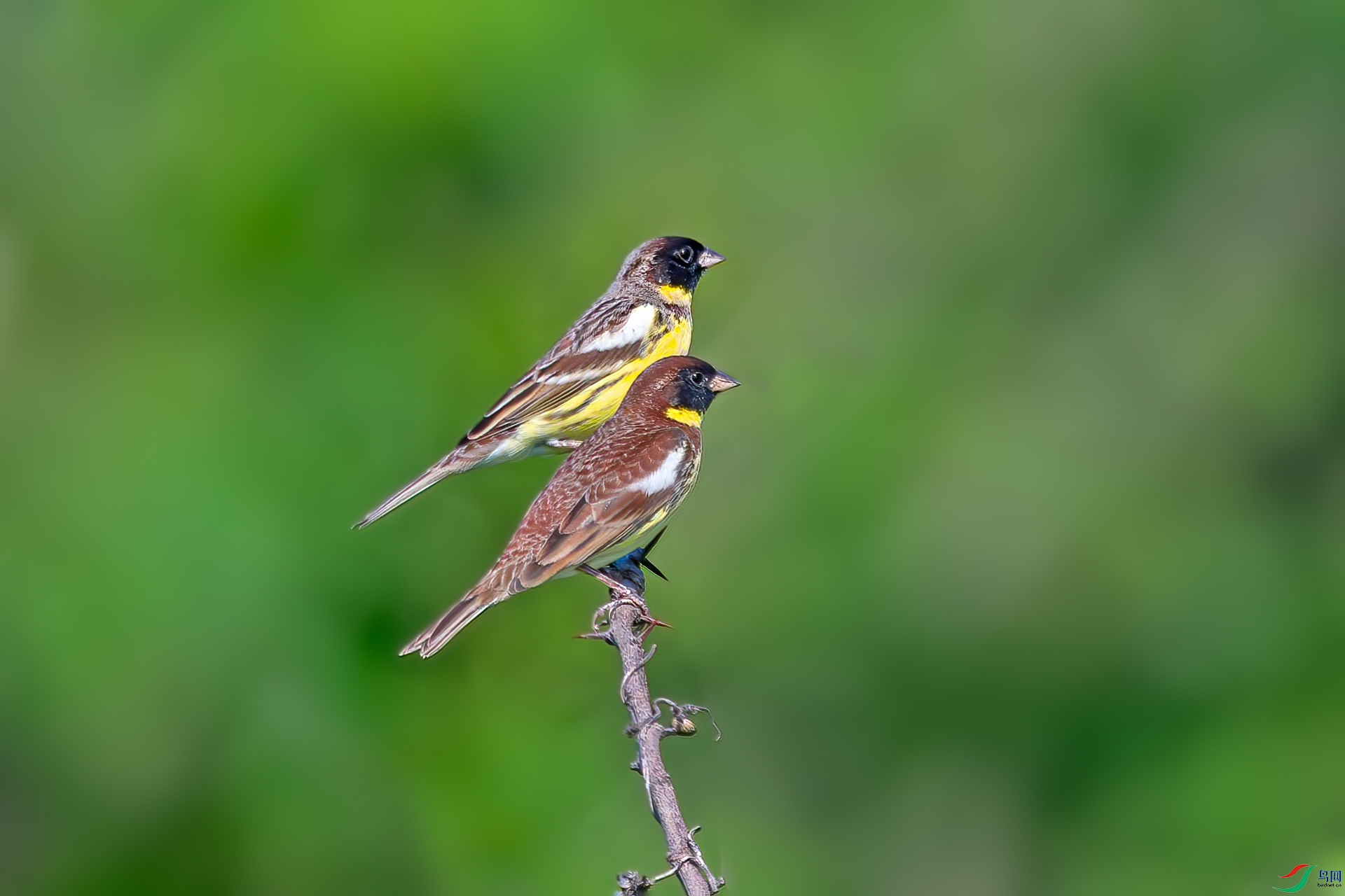 _DSC6457_����.jpg