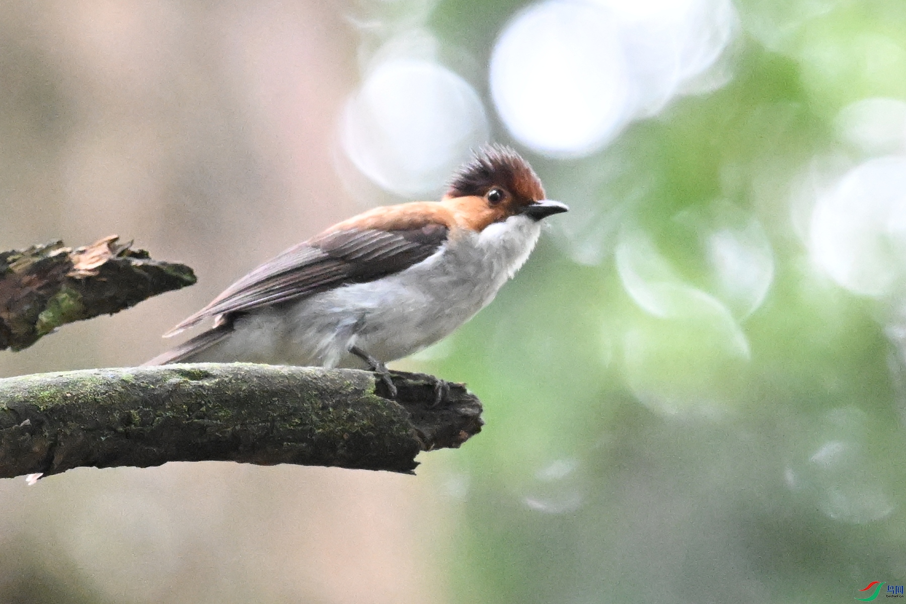 DSC_2071.JPG