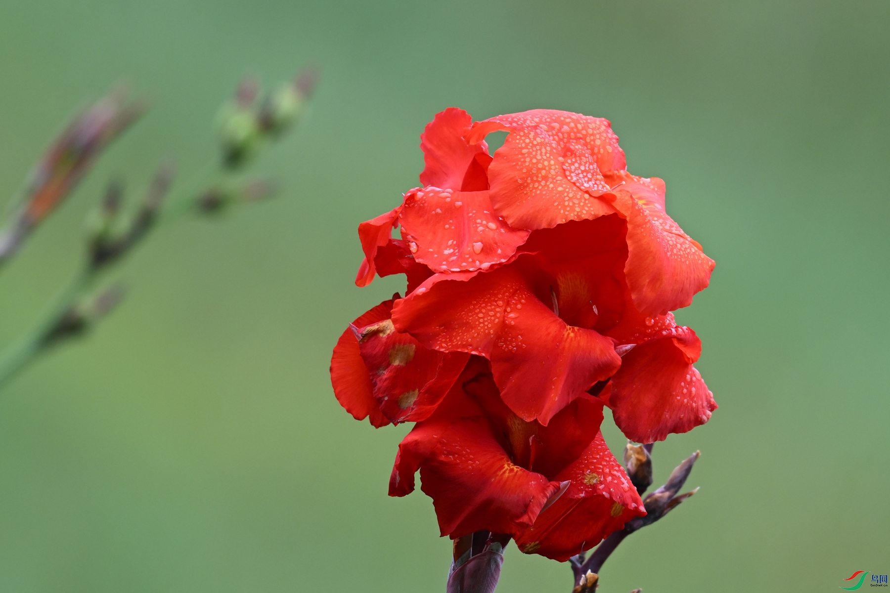 DSC_2062.JPG