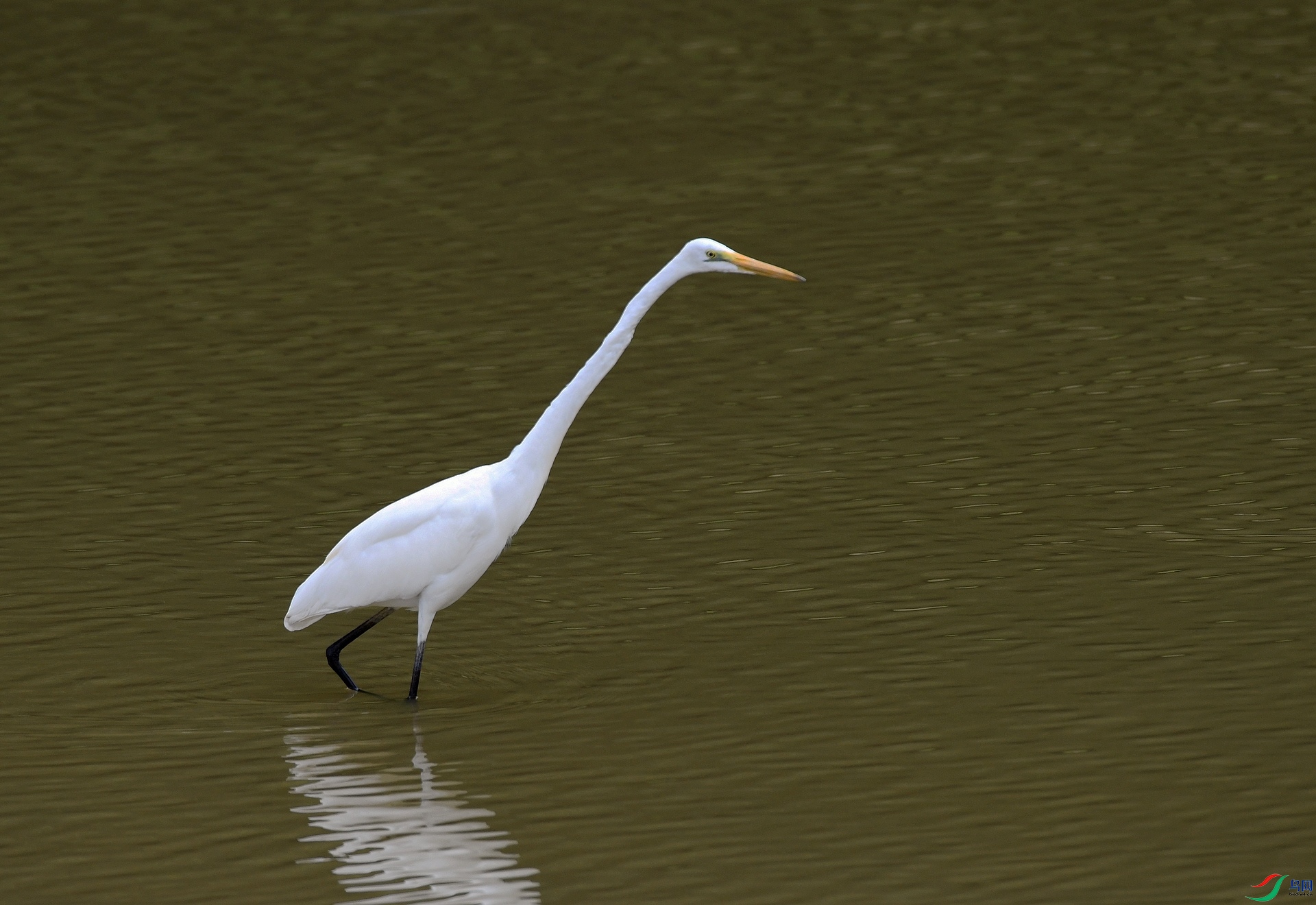 DSC_4871.jpg