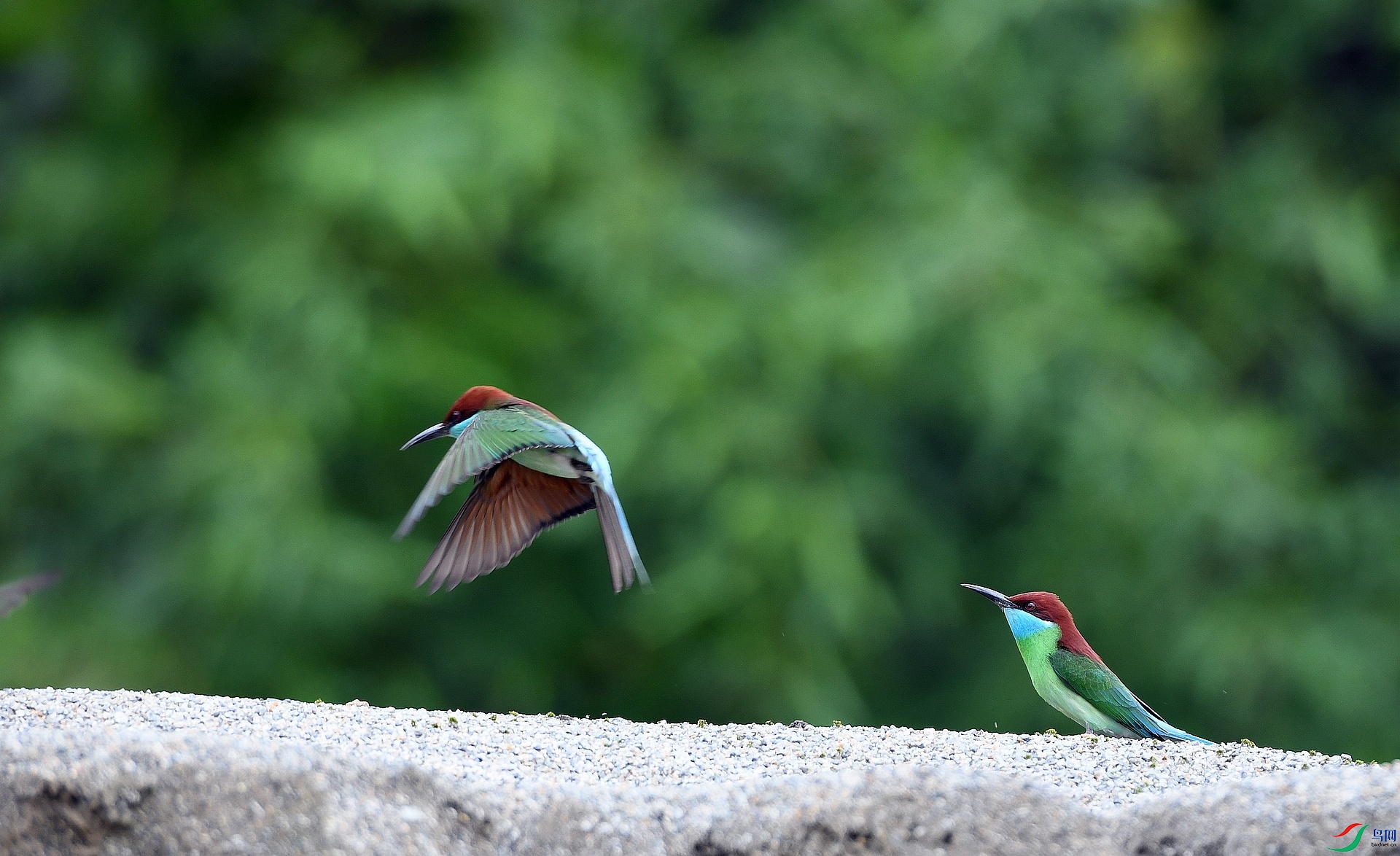 DSC_4351.jpg