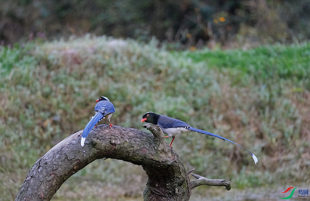 DSCF8345.1.jpg