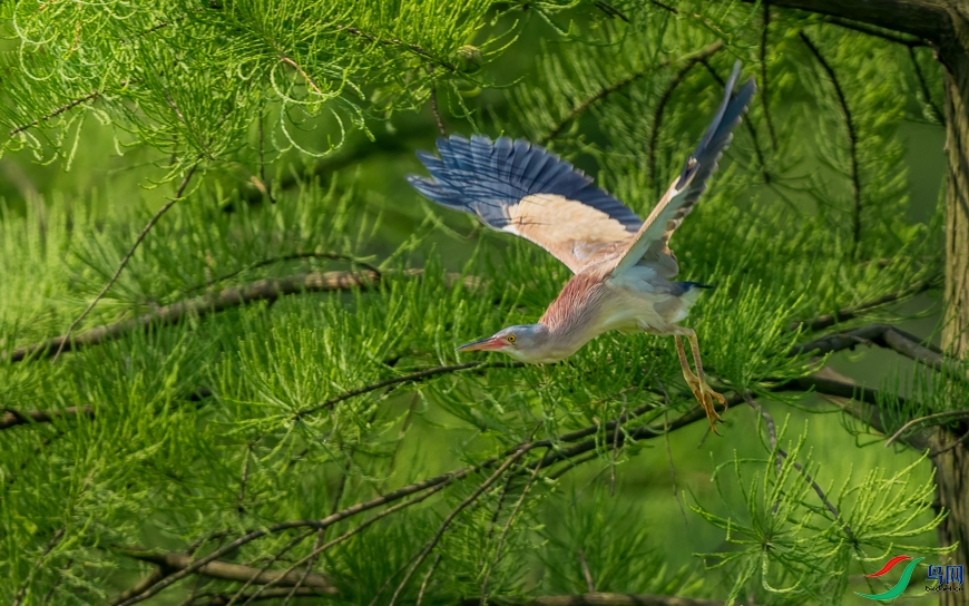043A7556B.jpg