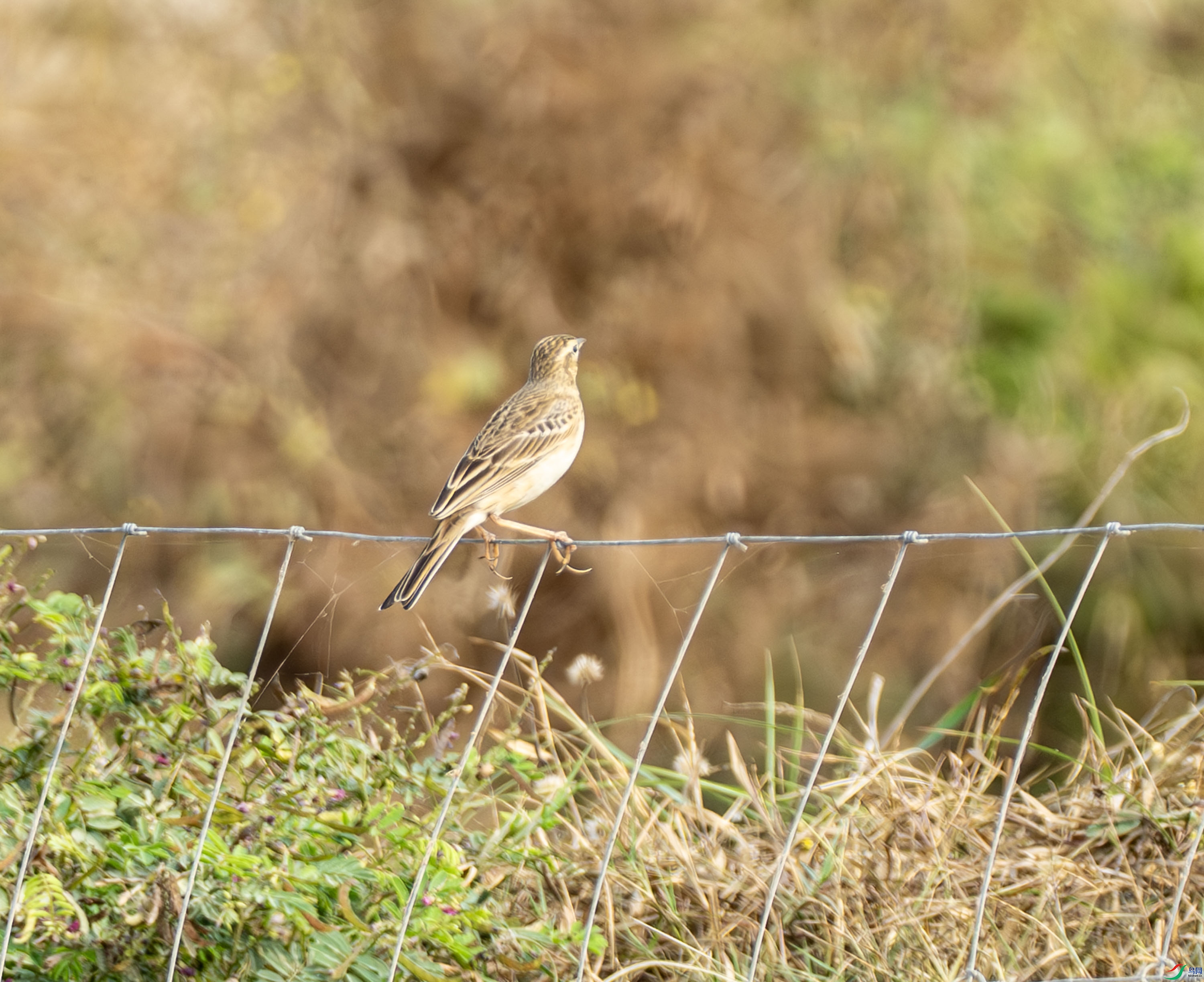 ������-04-6.jpg