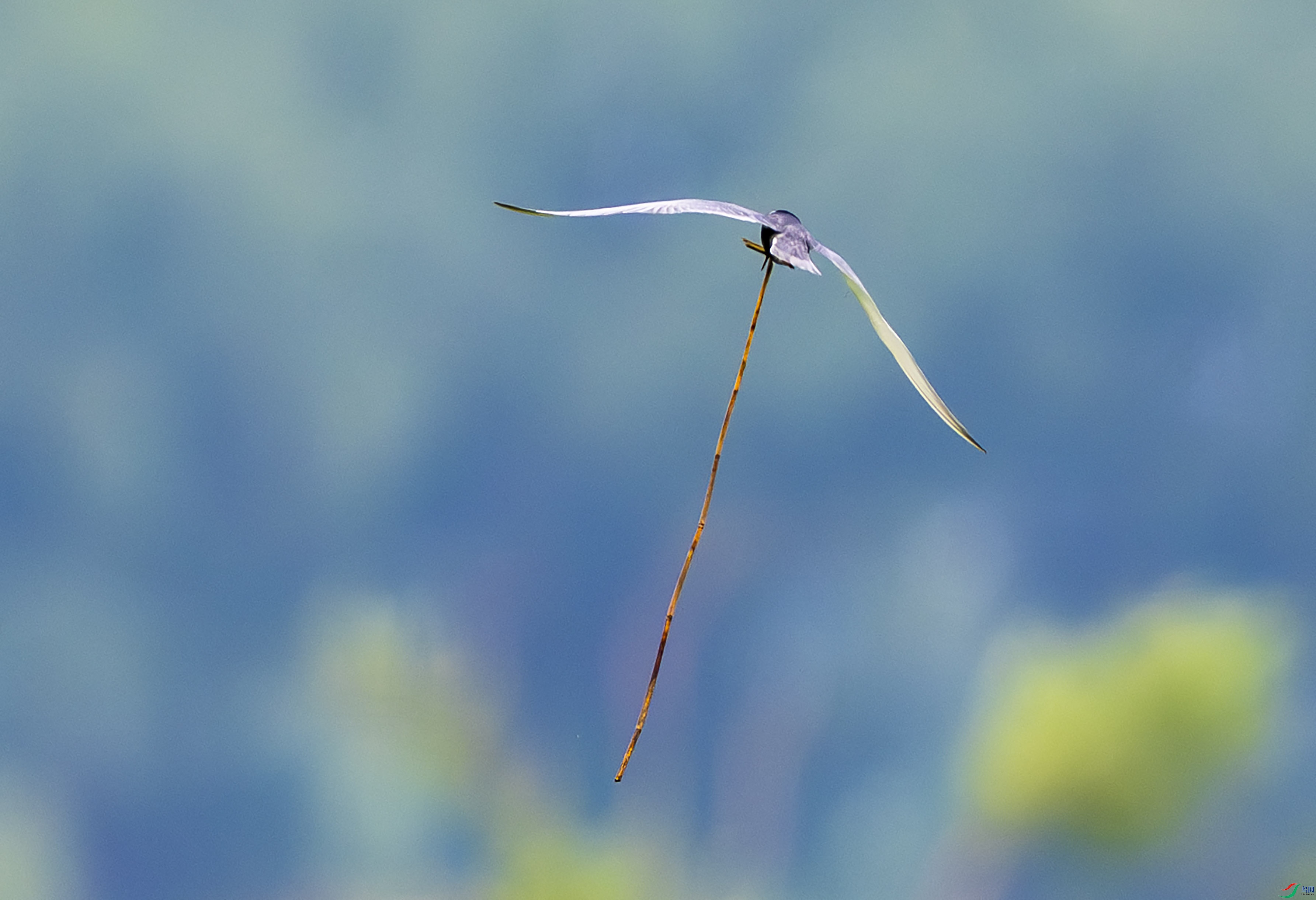 DSC_6152.jpg
