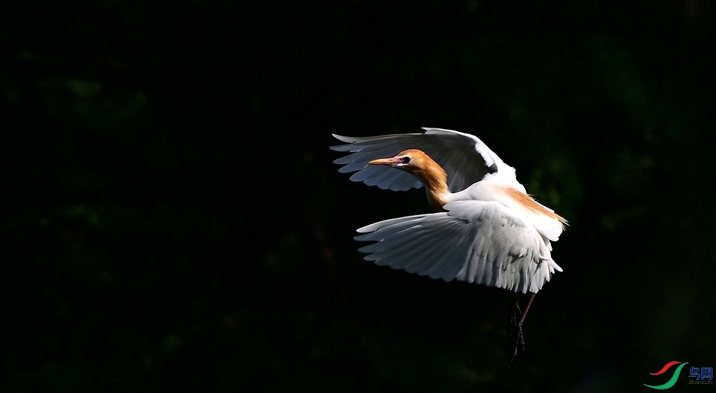 DSC_0708.JPG