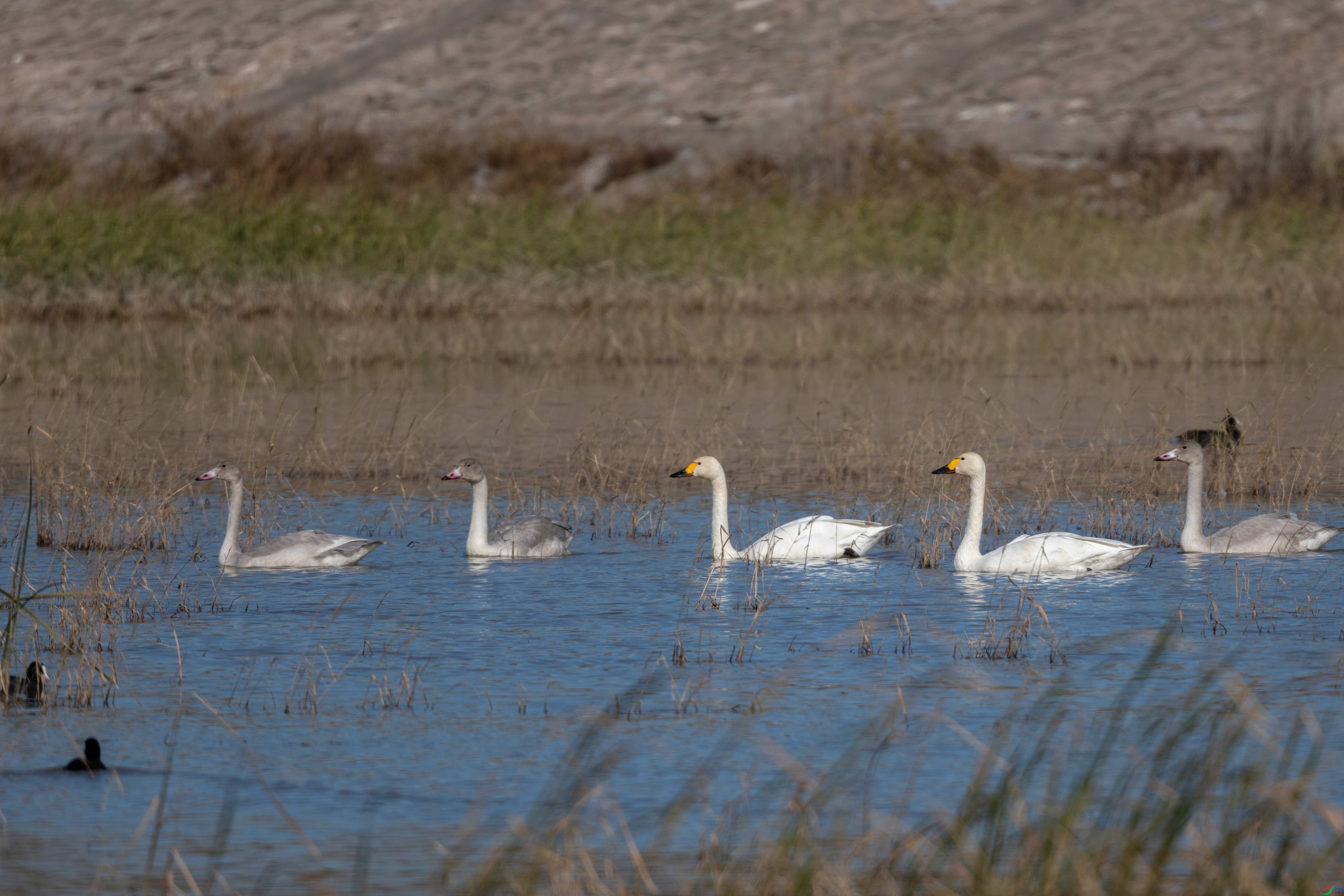 DSC_3421.jpg