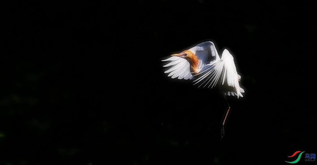 DSC_0711.JPG