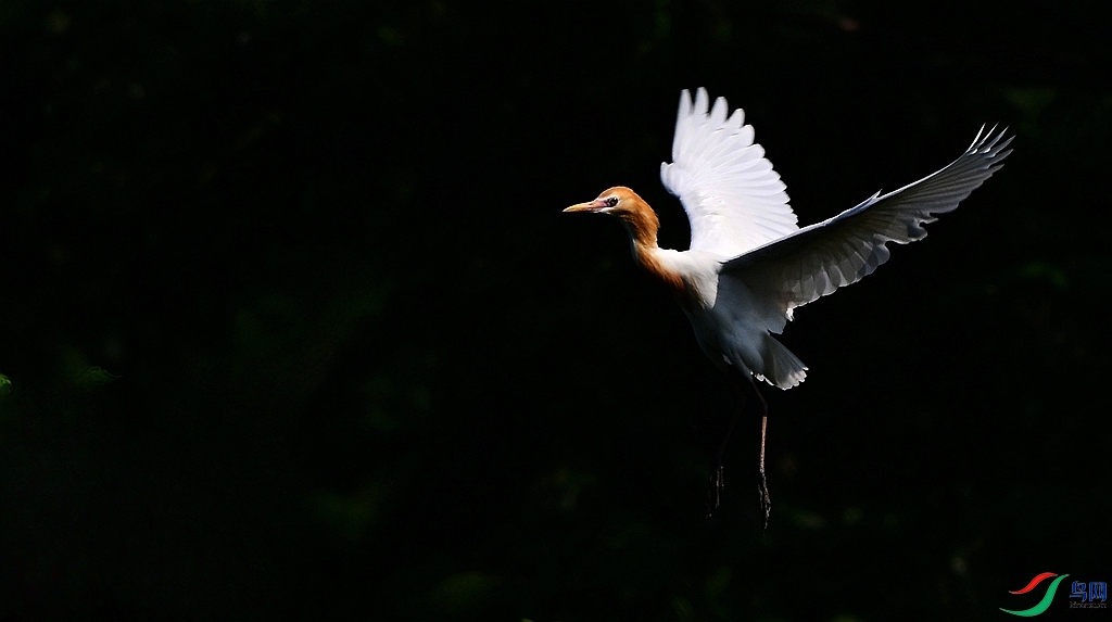 DSC_0712.JPG