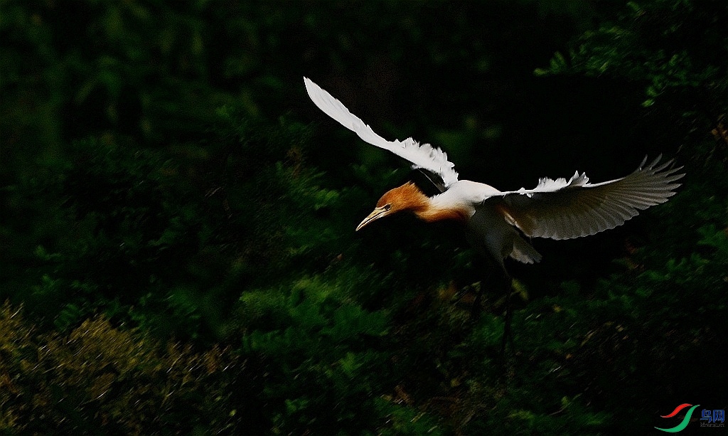 DSC_2904.JPG