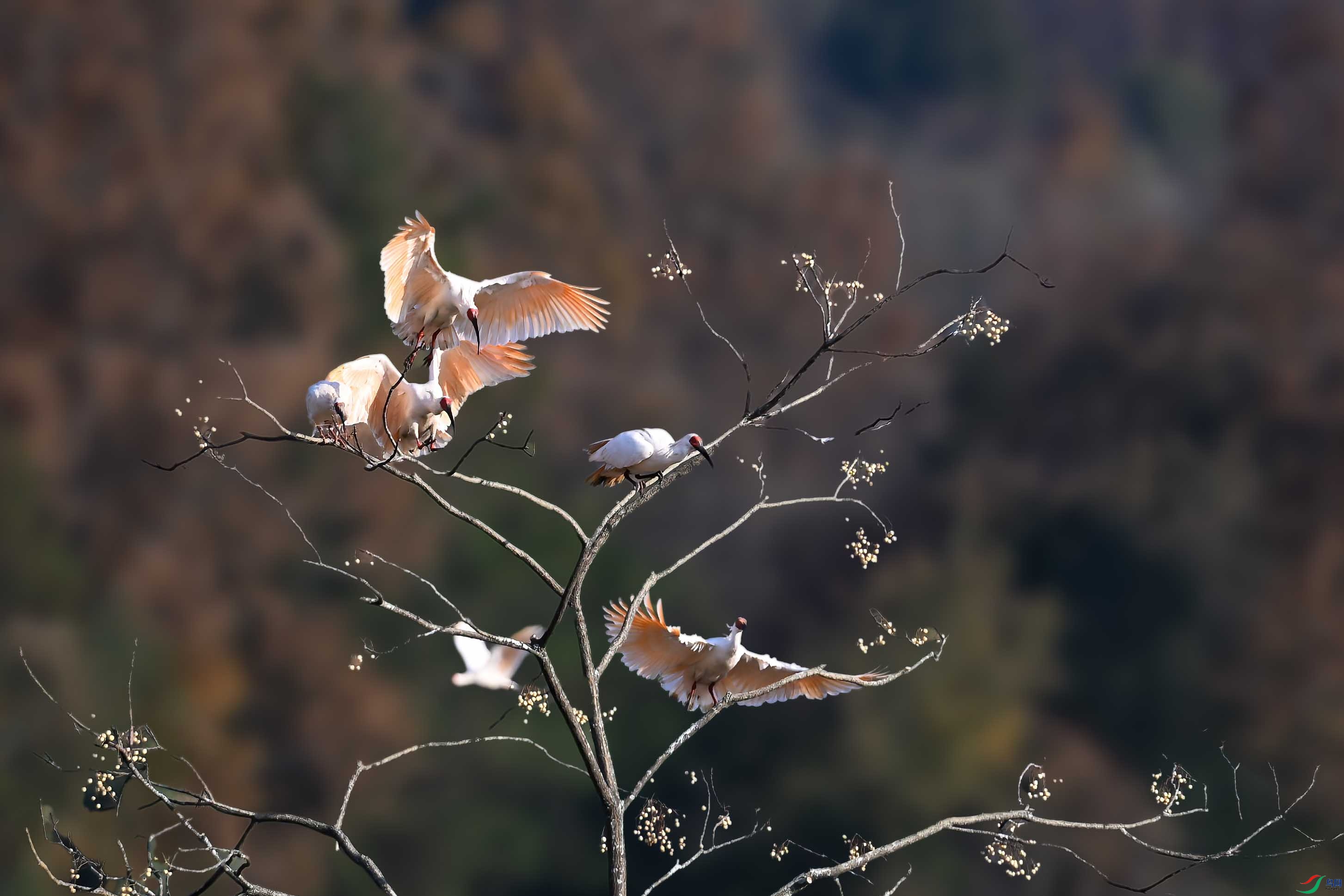 DSC_4808 ����.jpg