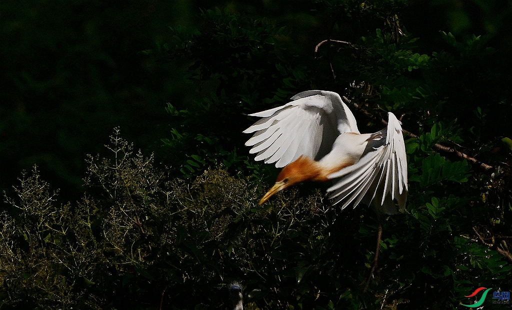 DSC_2906.JPG