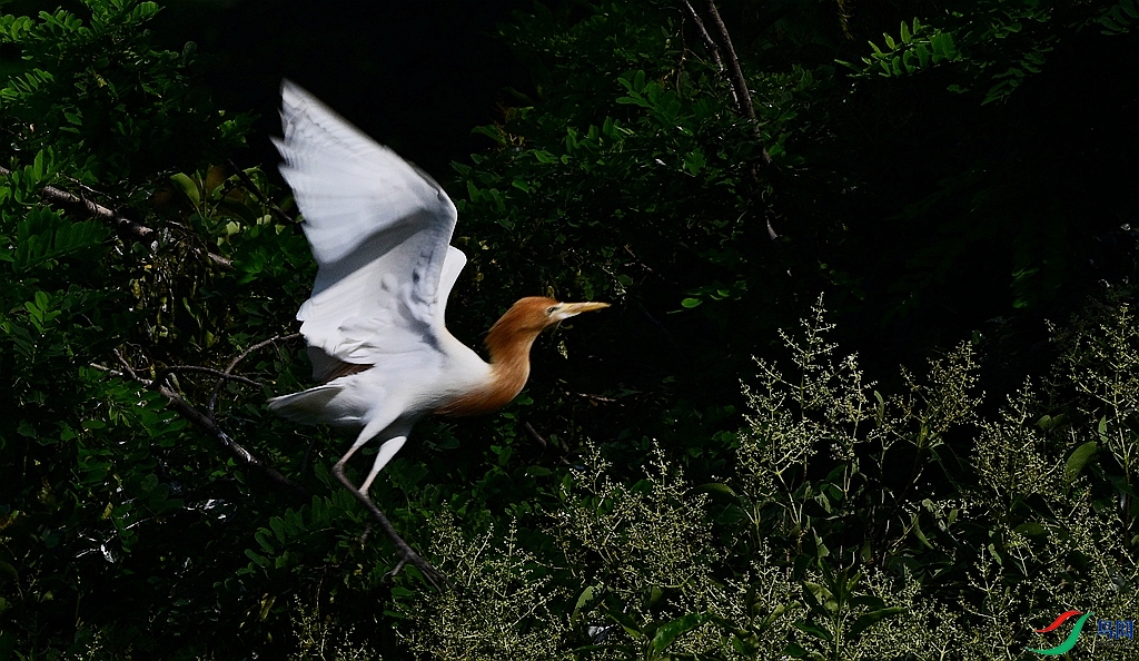 DSC_2970.JPG