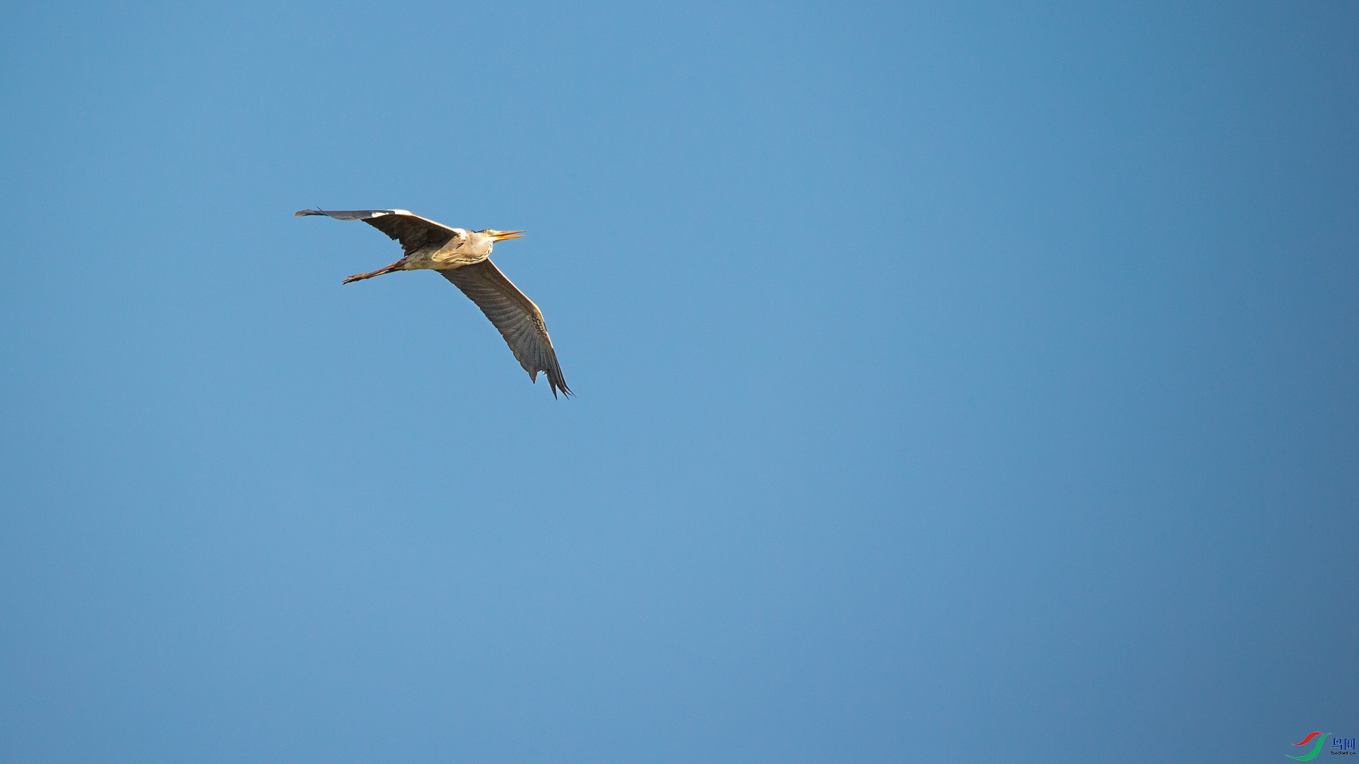 A48Z6637.jpg