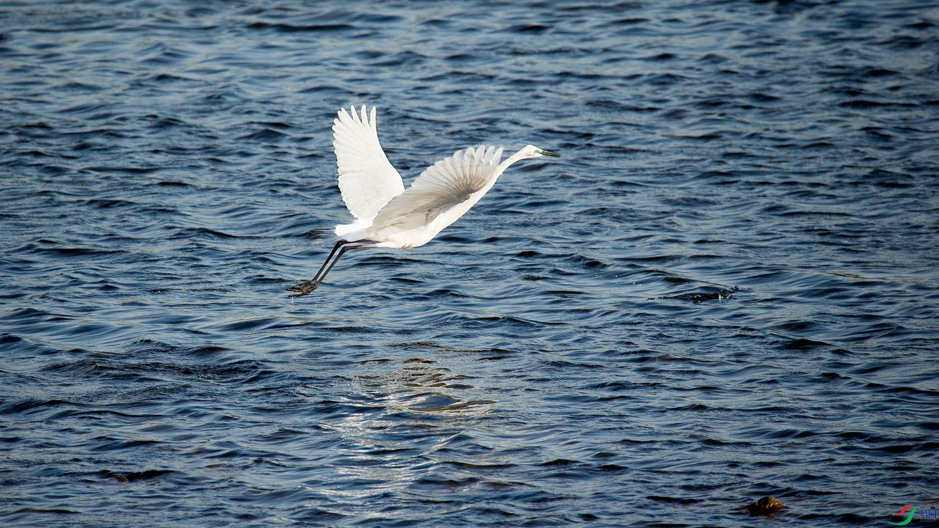 A48Z6650.jpg