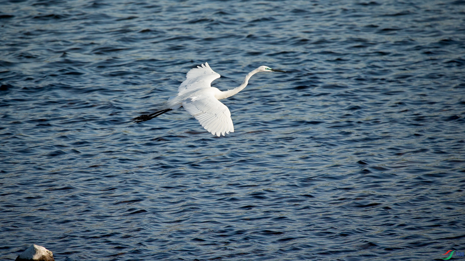 A48Z6664.jpg