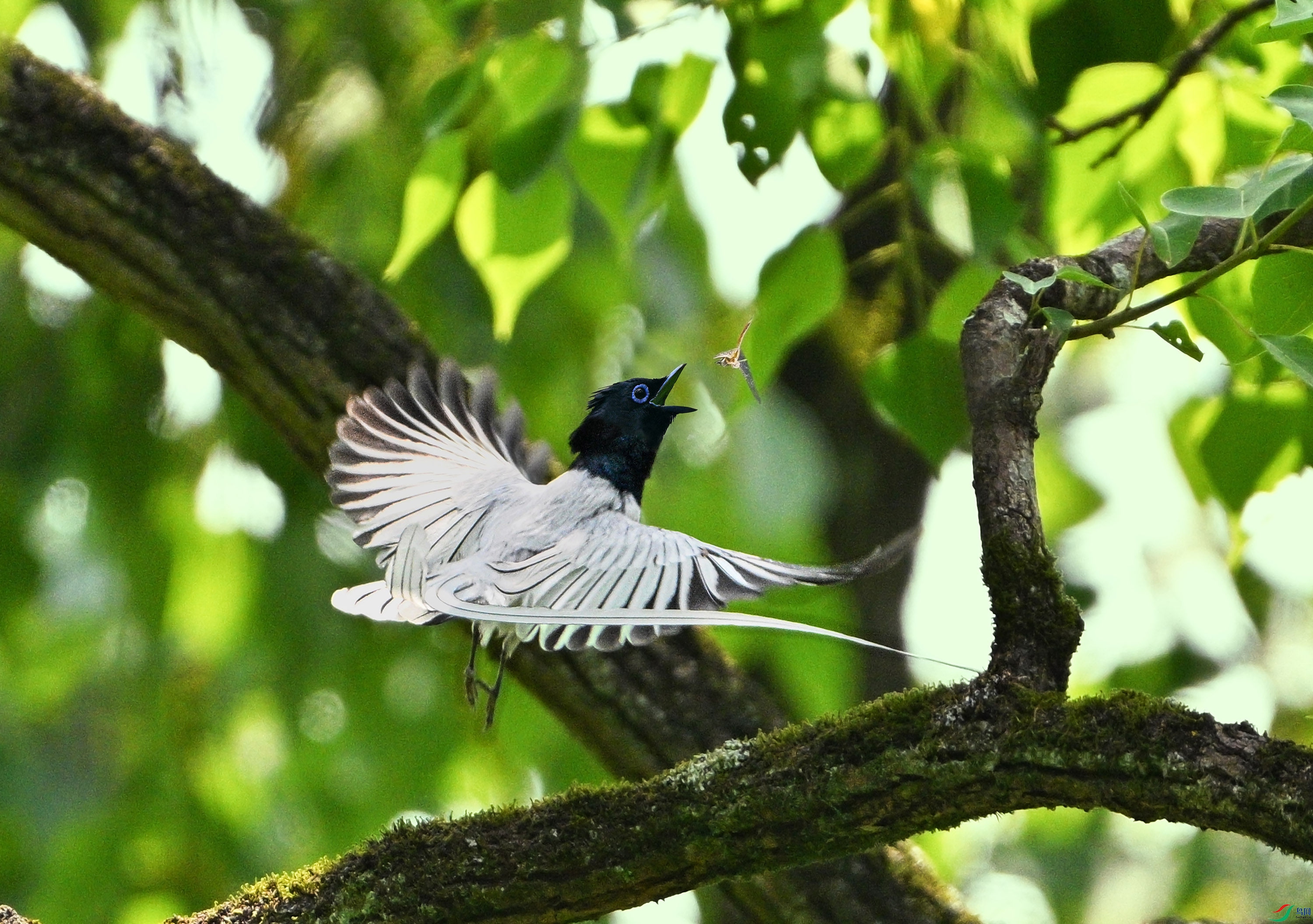 DSC_6864.jpg
