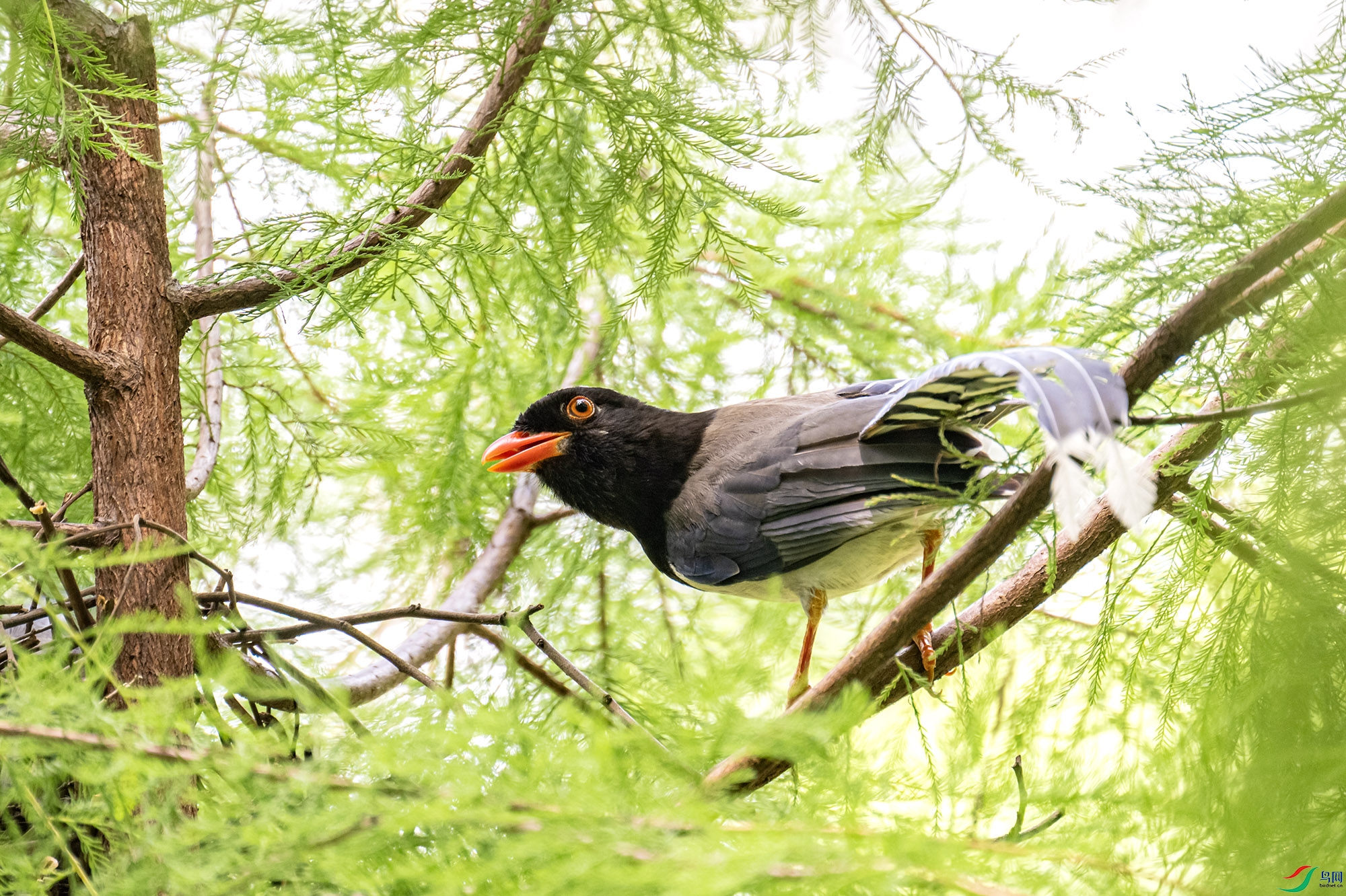 DSC_7103.jpg