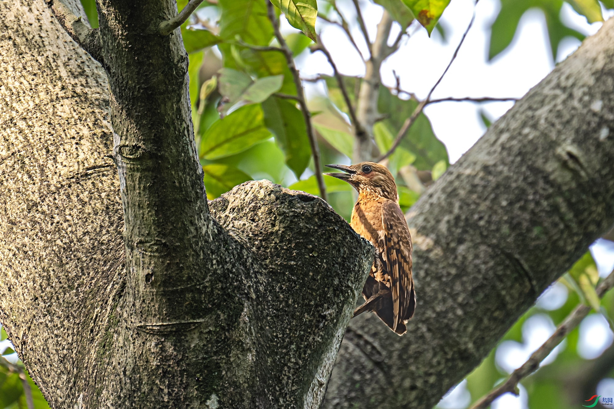 DSC_6536.jpg