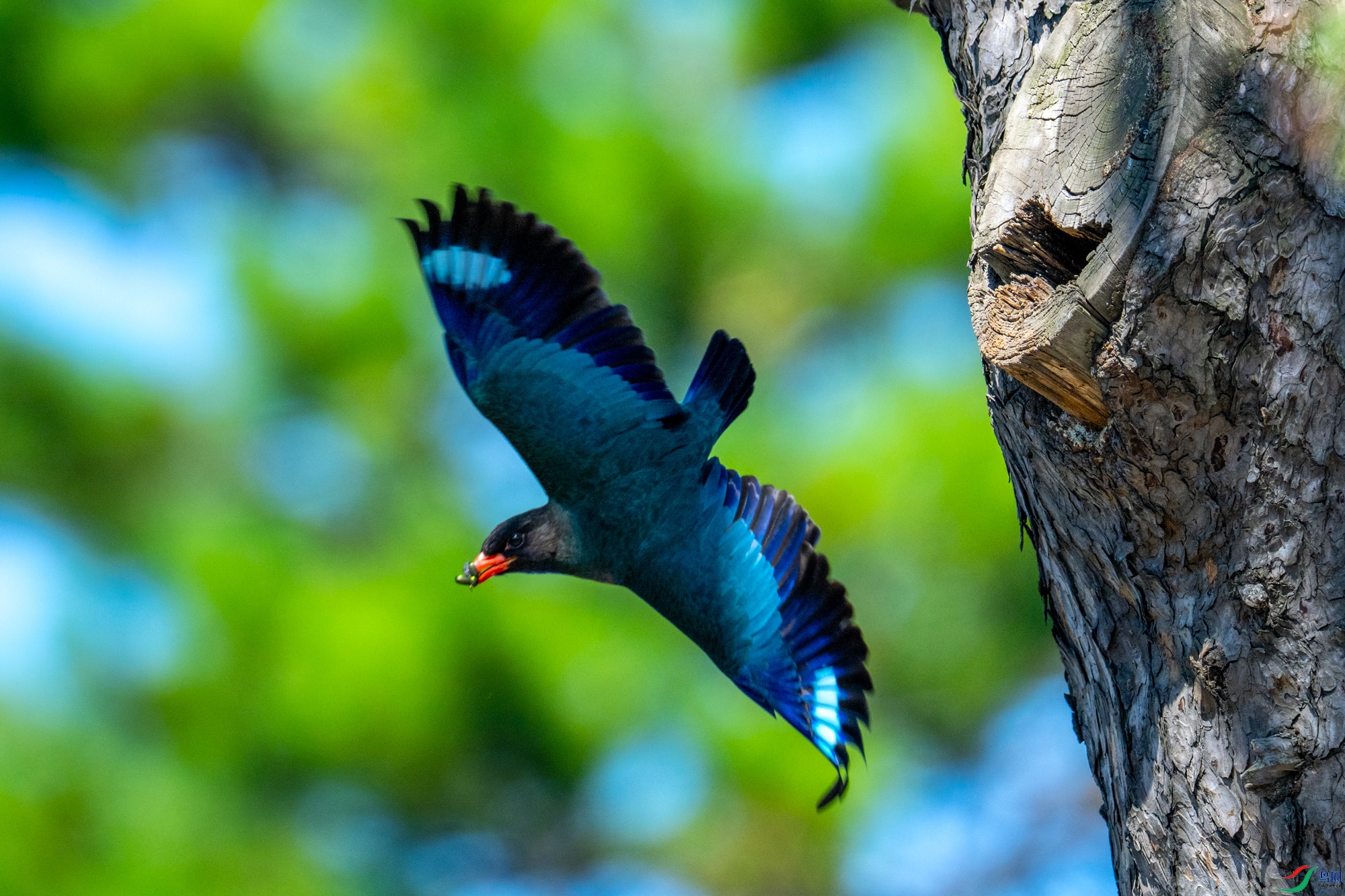 DSC_2749.jpg