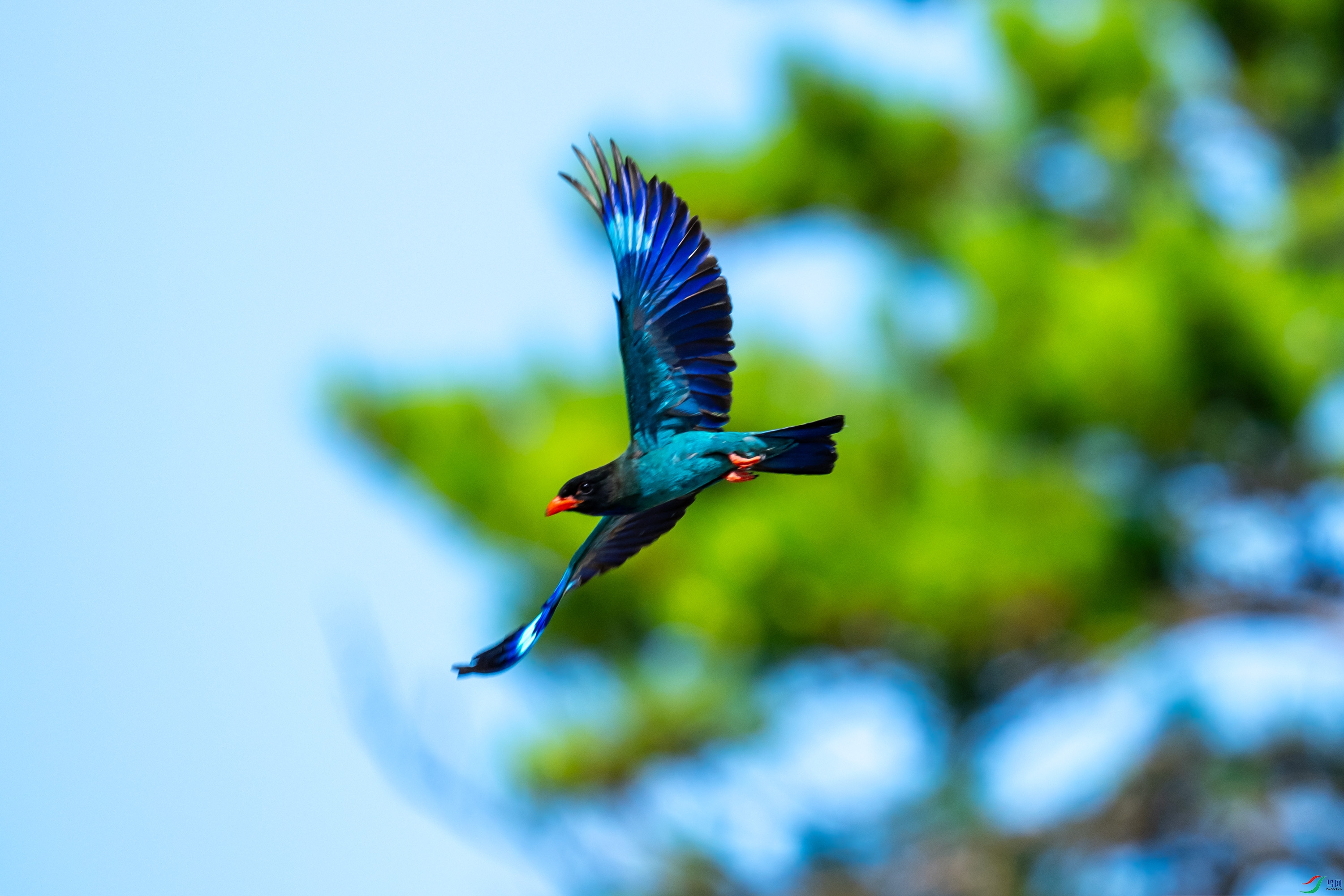 DSC_2582.jpg