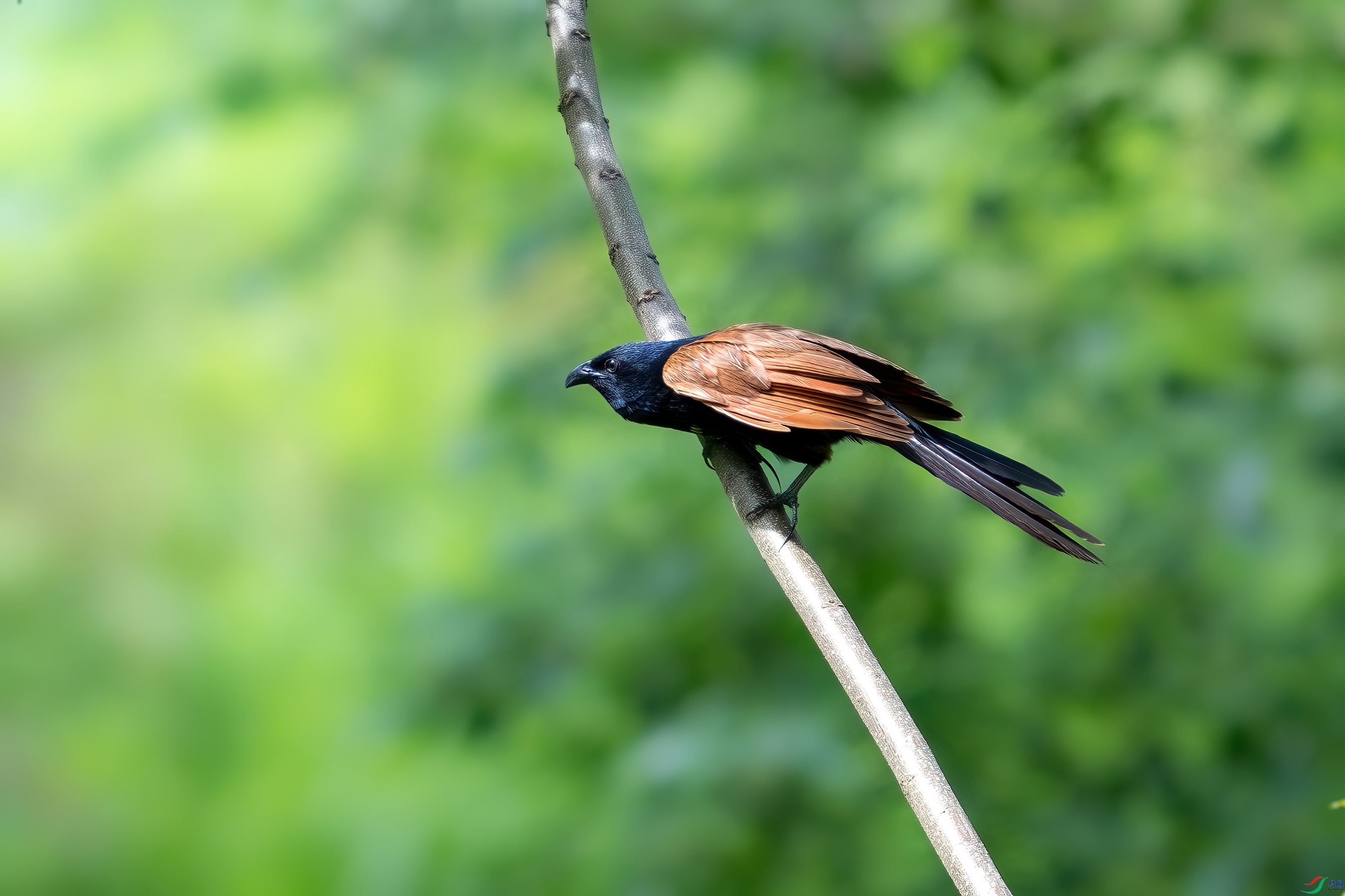 _DSC4896.jpg