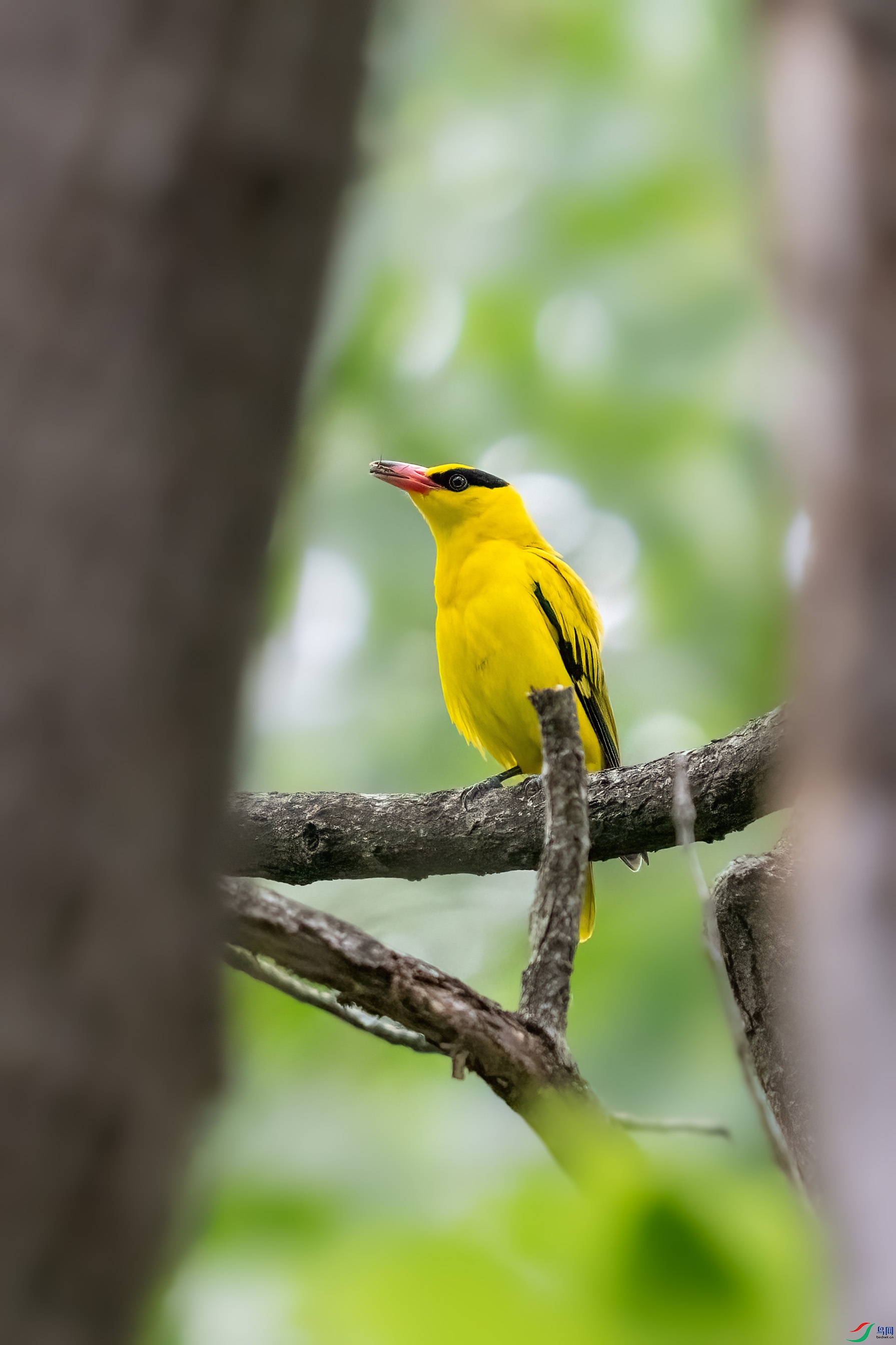 _DSC4589.jpg
