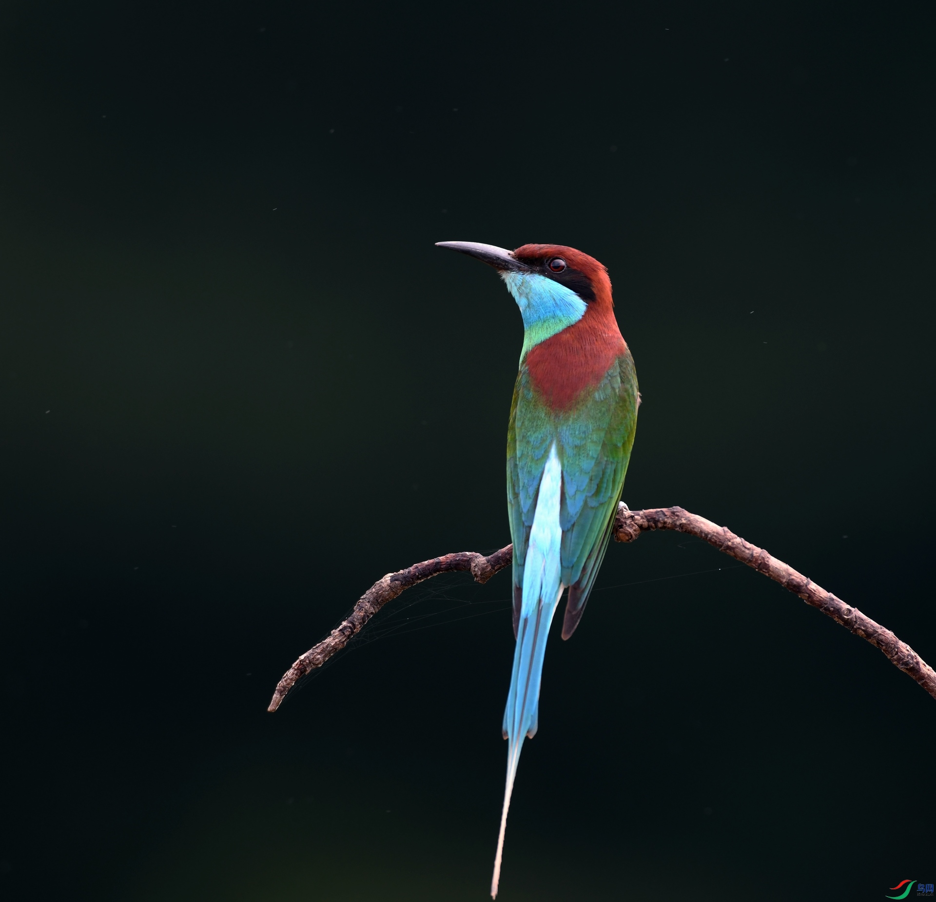 DSC_7600.jpg