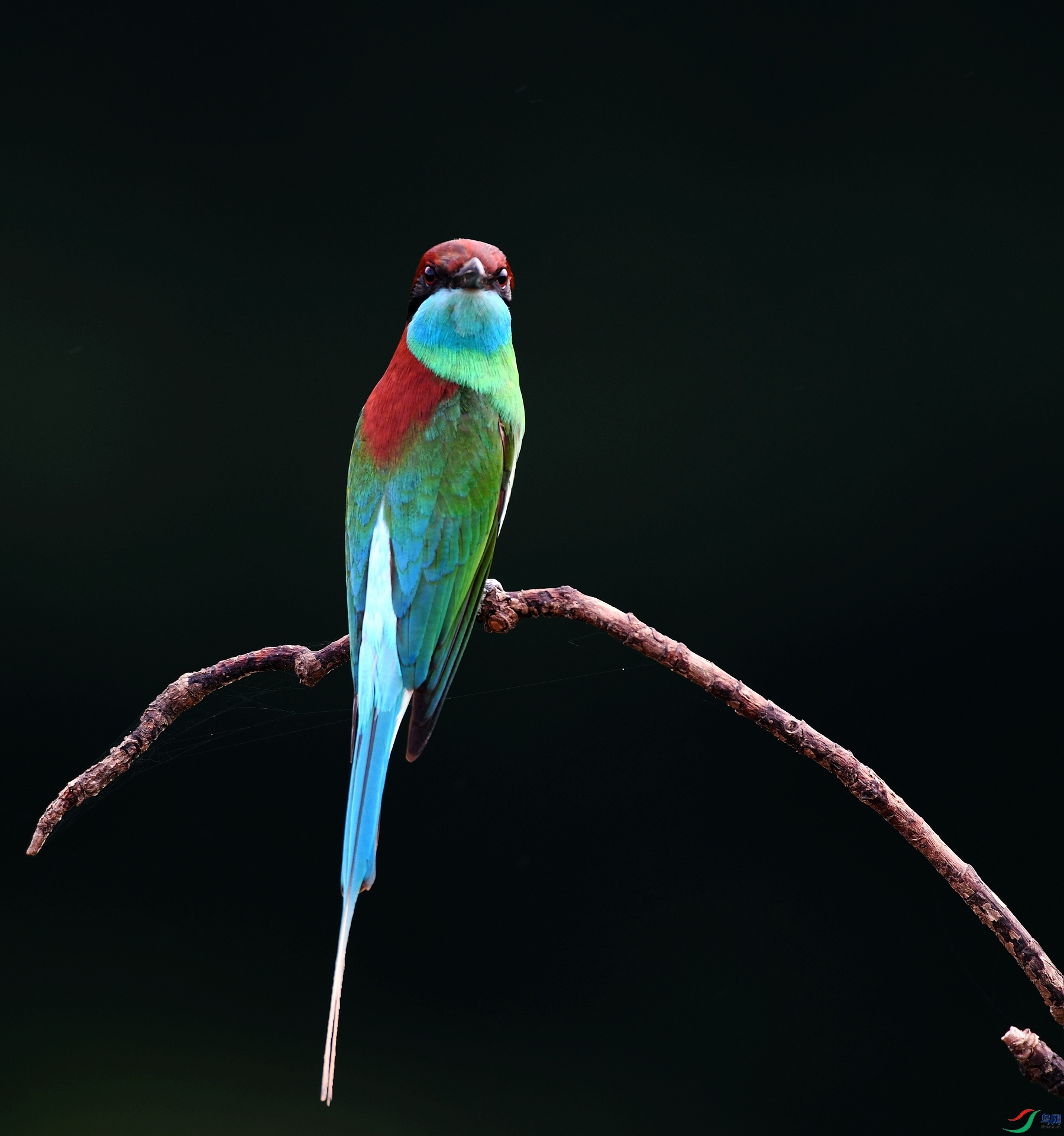DSC_7602.jpg