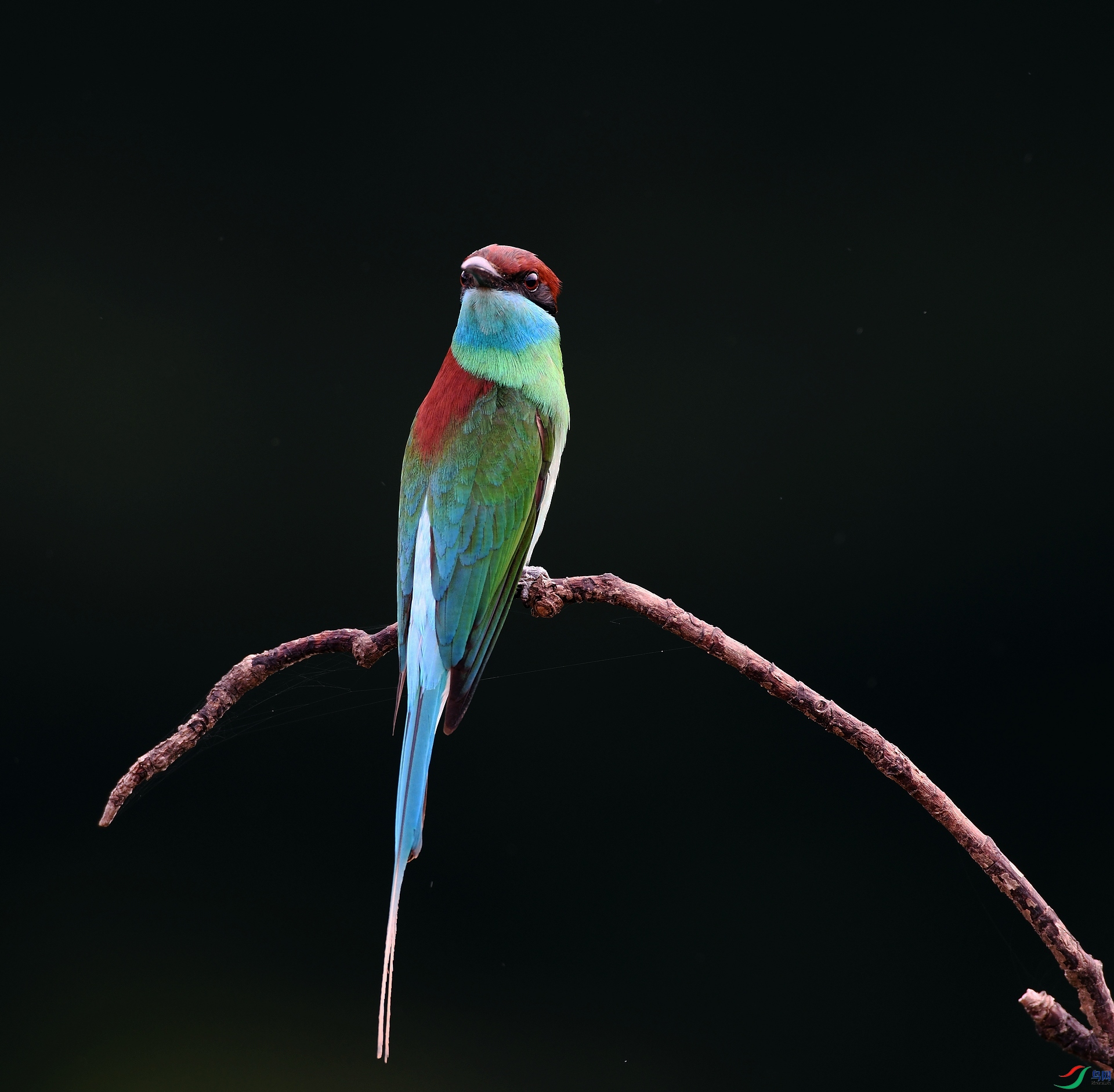 DSC_7596.jpg