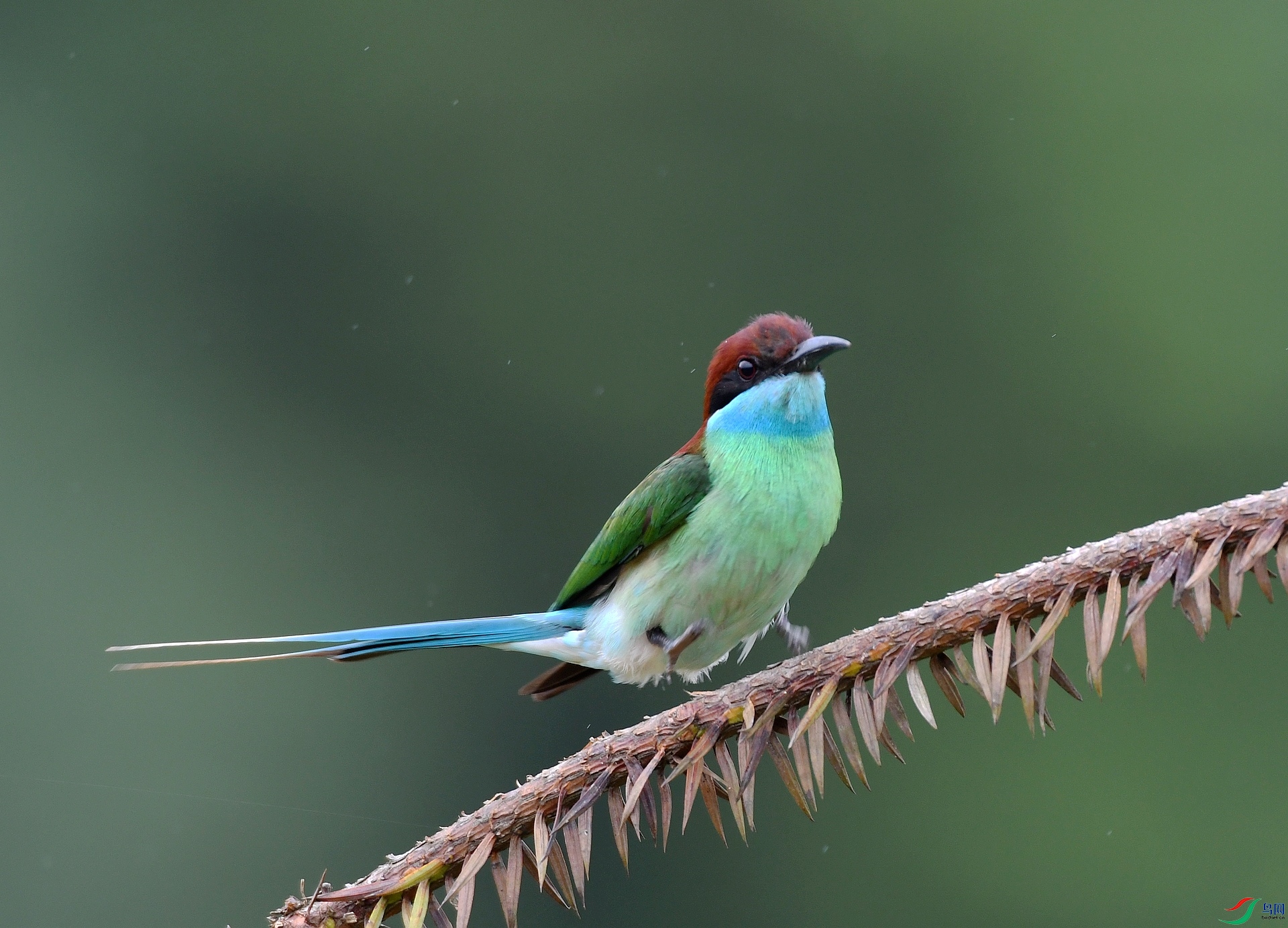 DSC_7420.jpg