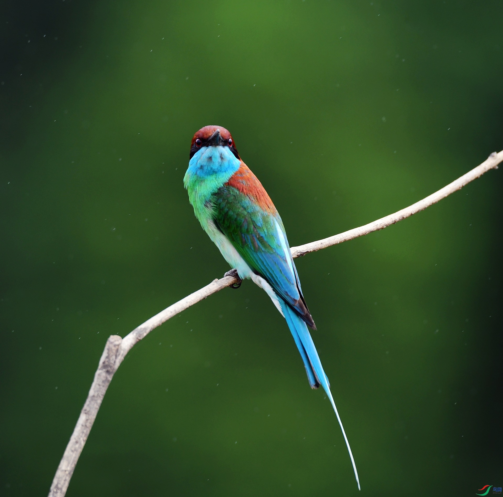 DSC_7536.jpg