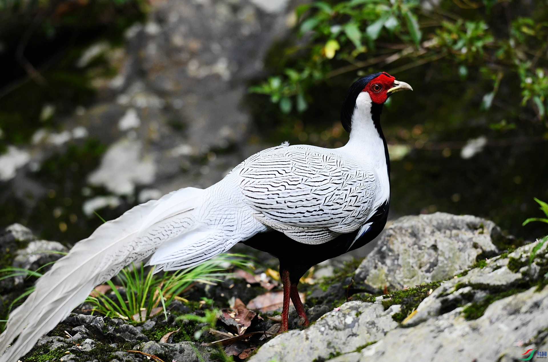 DSC_6146.jpg