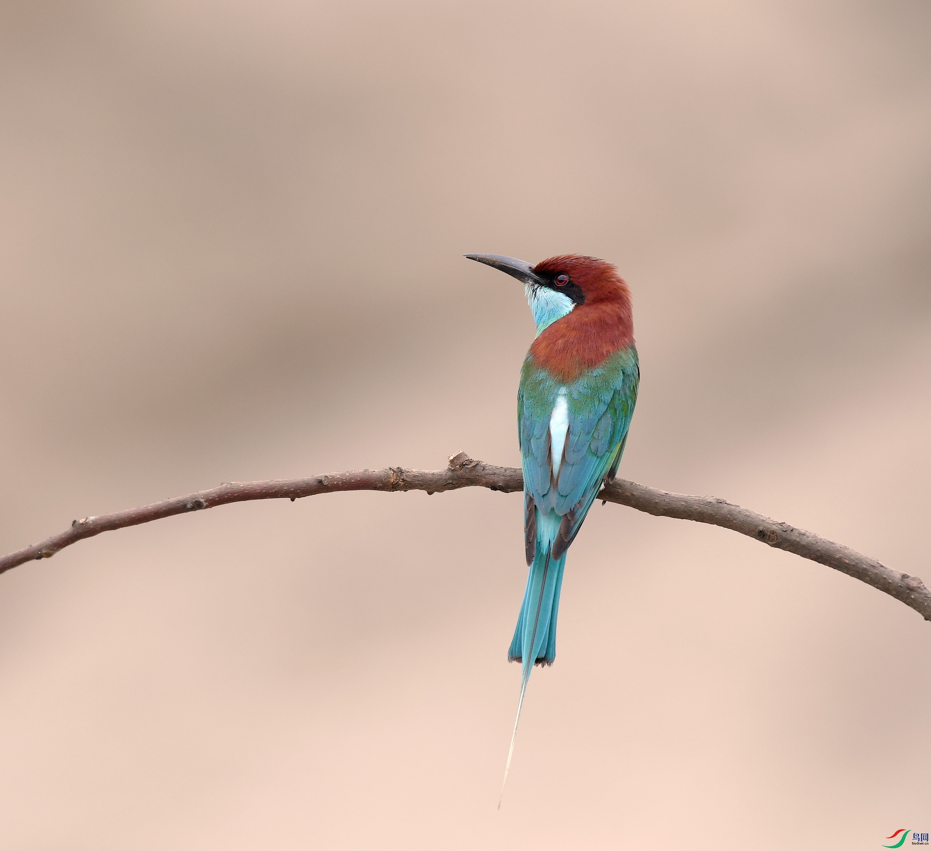DSC_6764.jpg