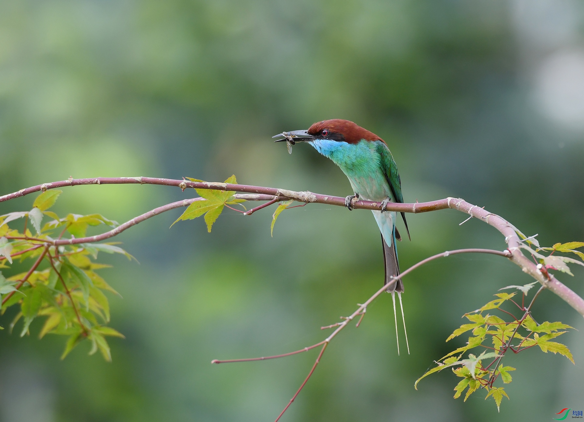 DSC_5083.jpg