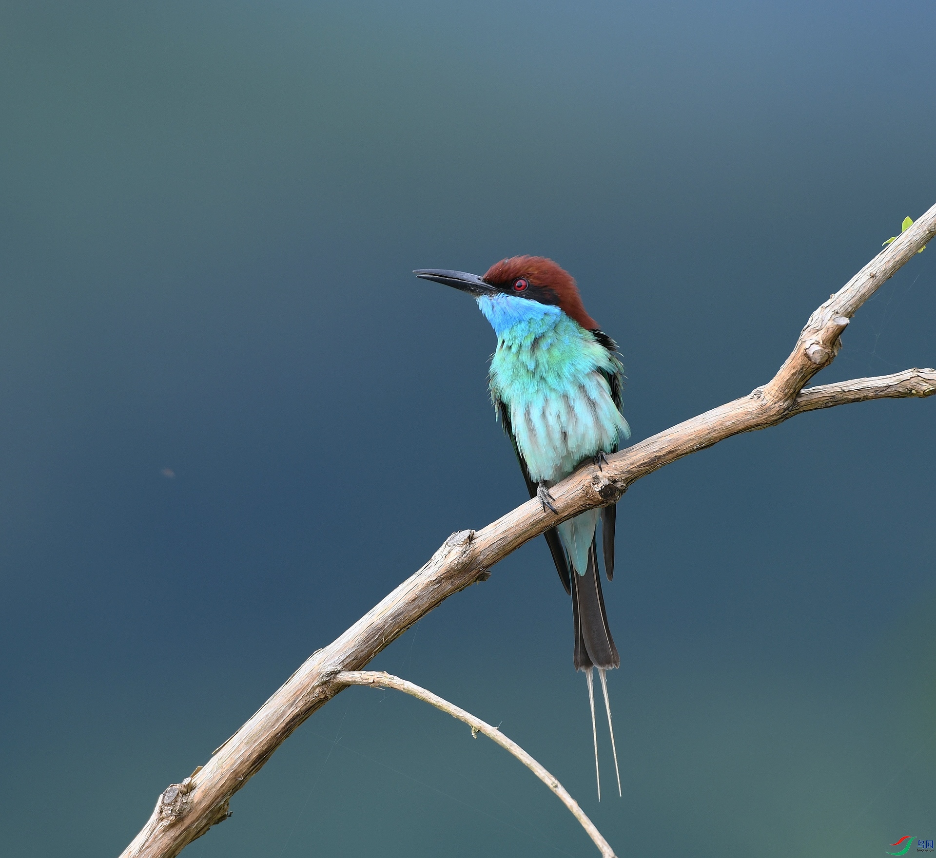 DSC_5115.jpg