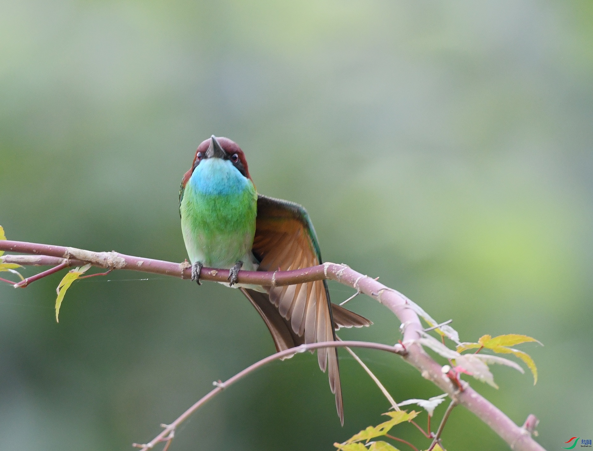 DSC_5641.jpg