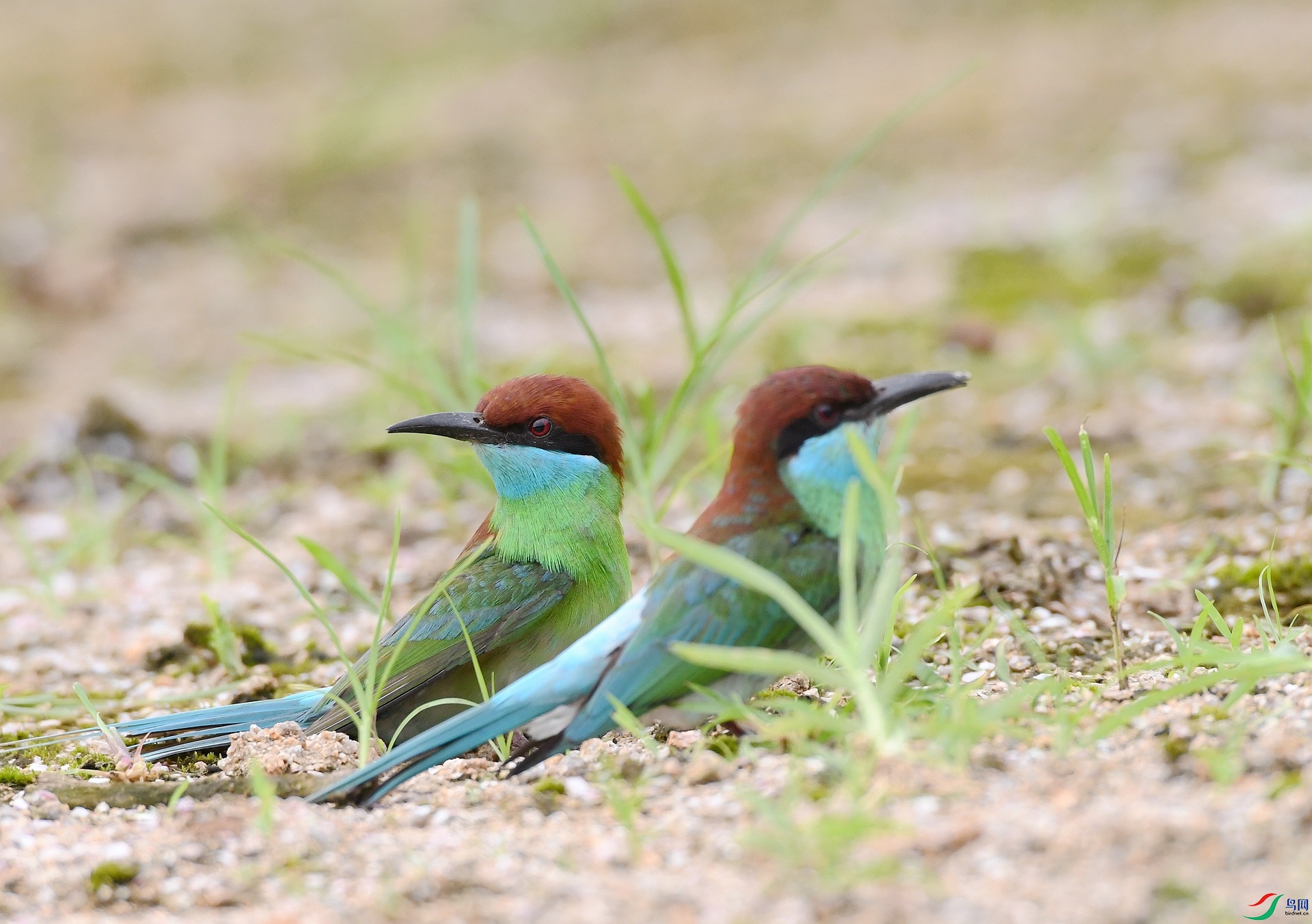DSC_5576.jpg