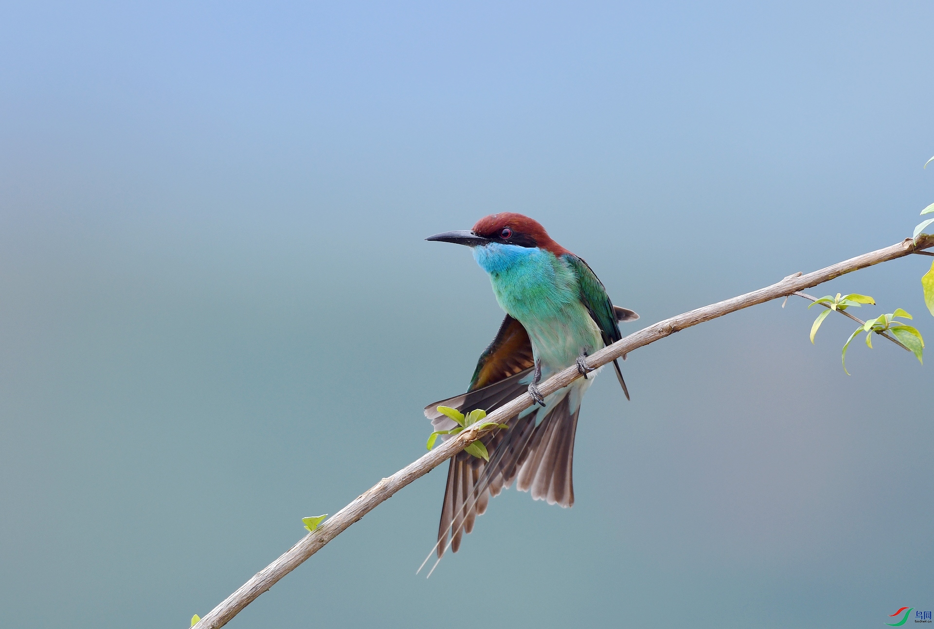 DSC_5288.jpg