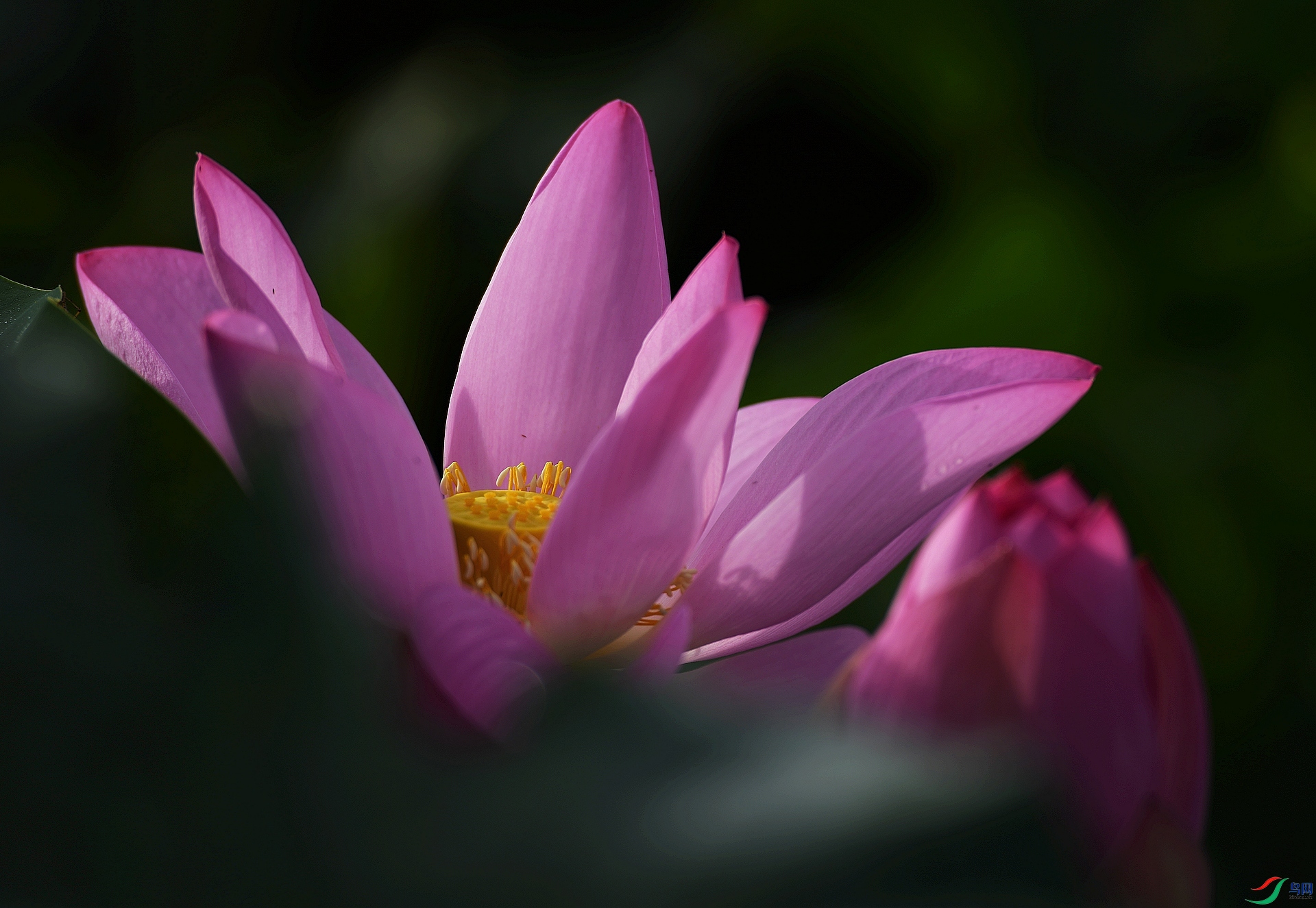 DSC_7188.jpg