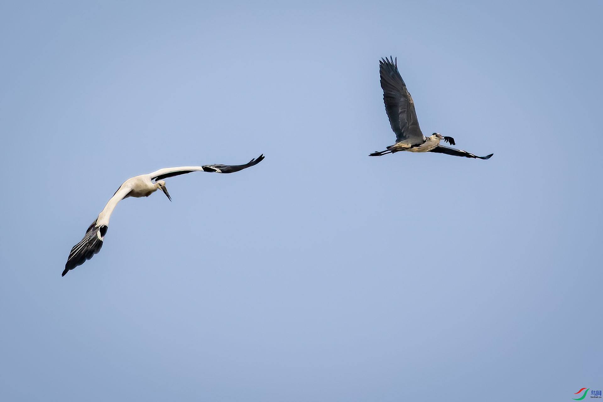 _MG_1091-CR2_(1920)-a.jpg