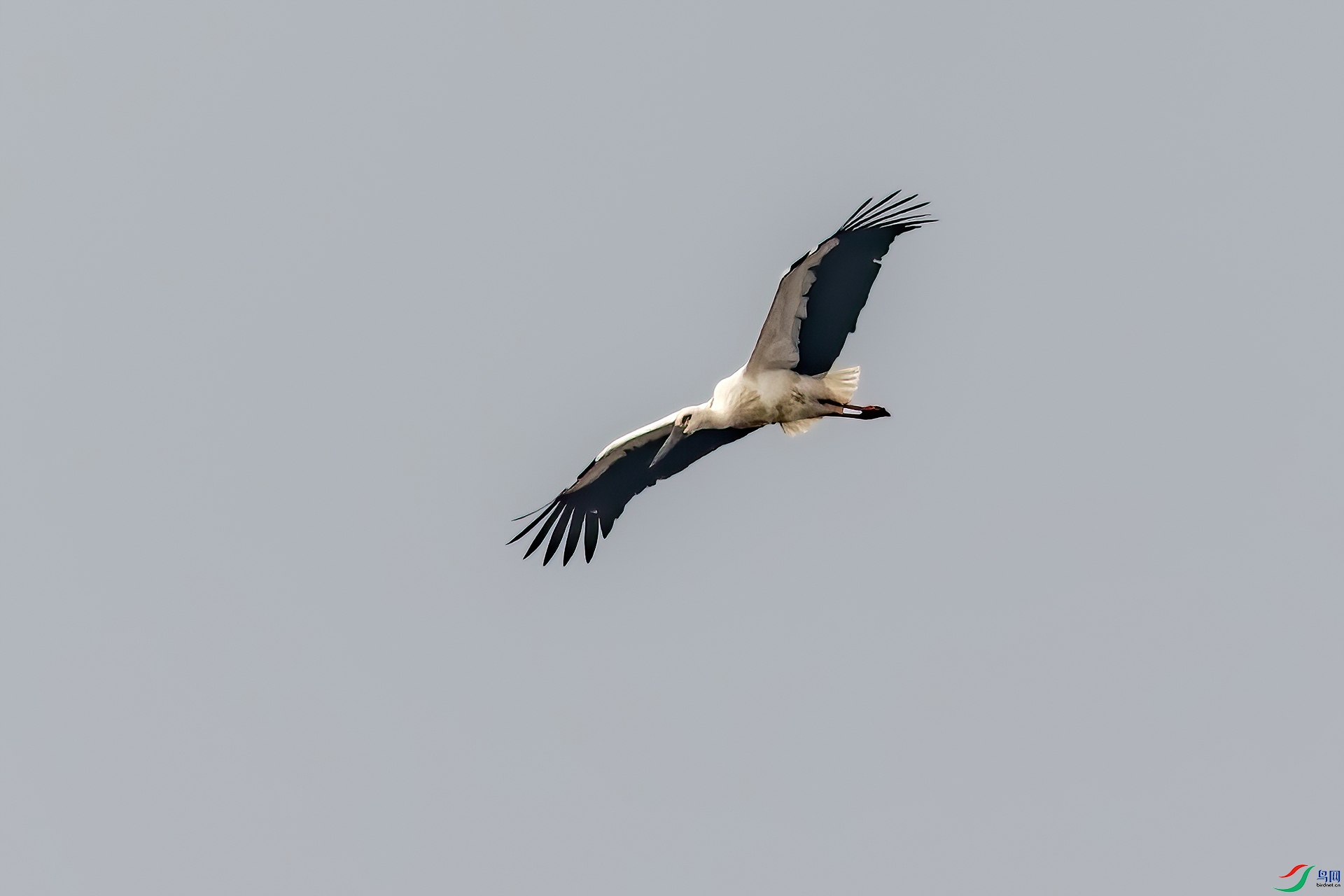 _MG_1092-CR2_(1920).jpg