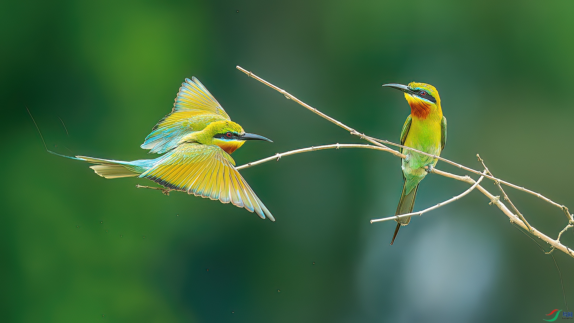 DSC_0001-����ǿ-NR.jpg