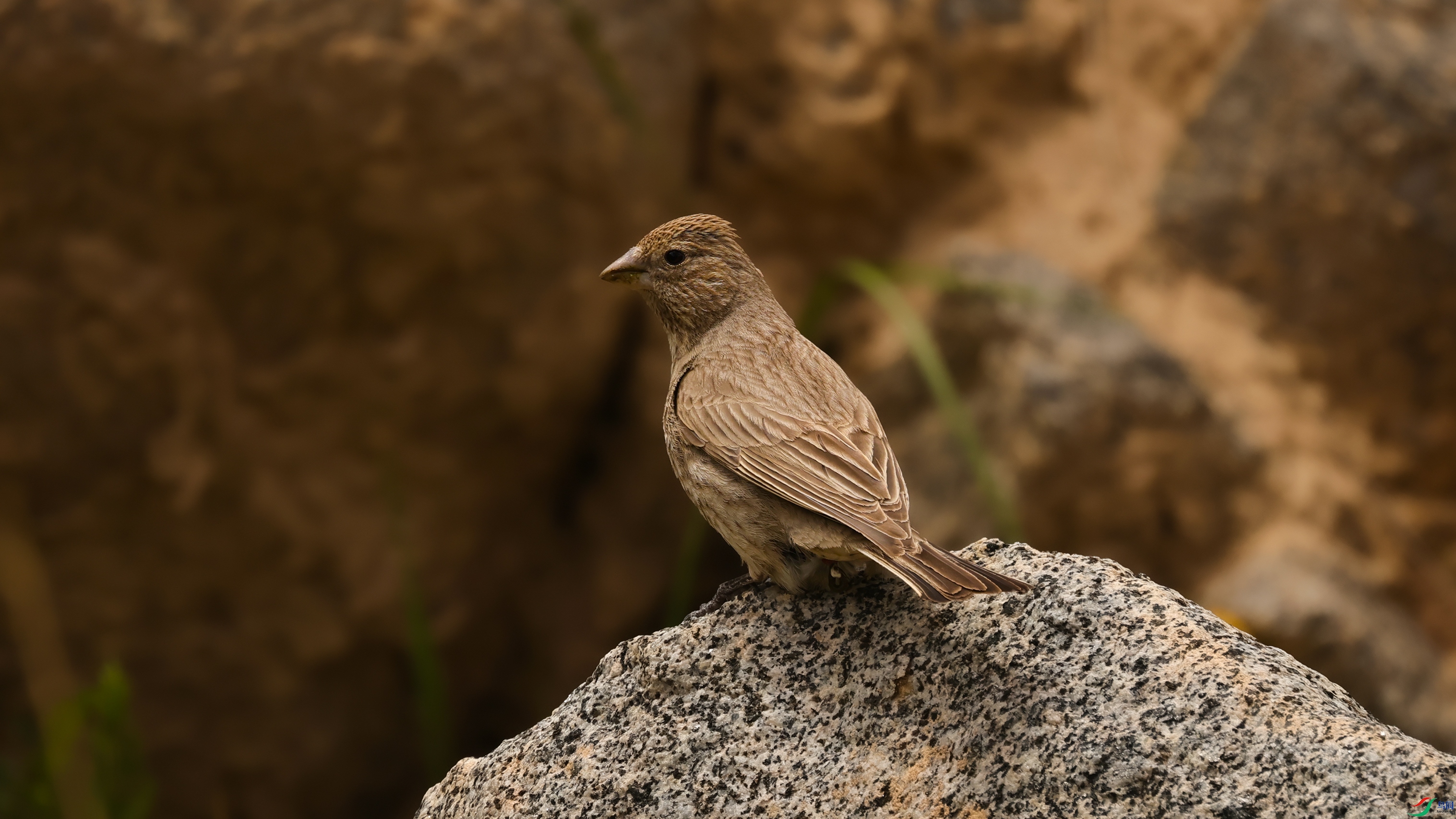 7X5A4890-�ָ���.jpg