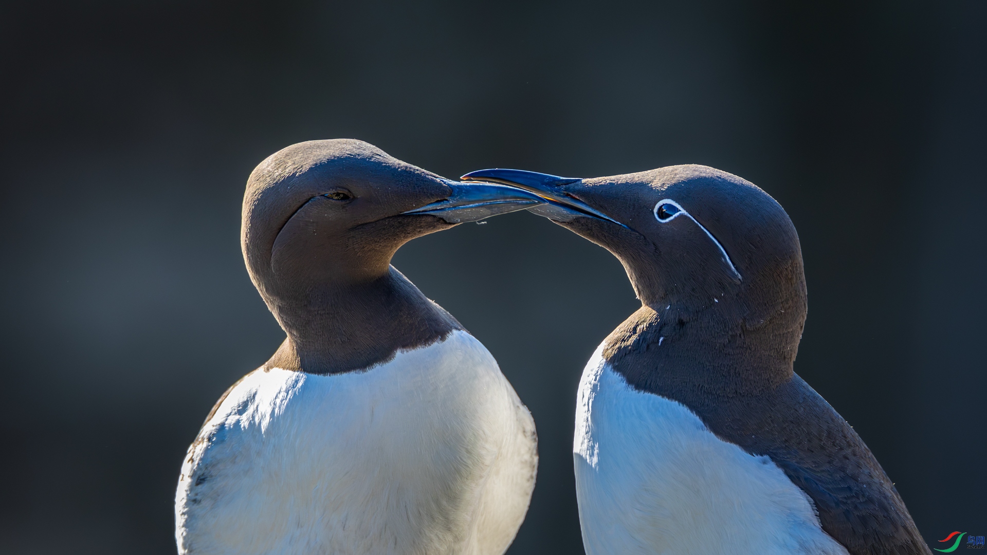 9I6A3306_1.jpg