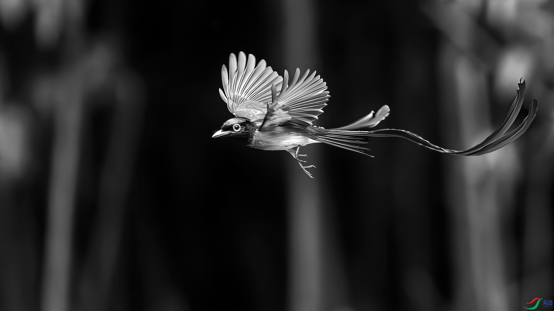 0D1A0431-9.jpg