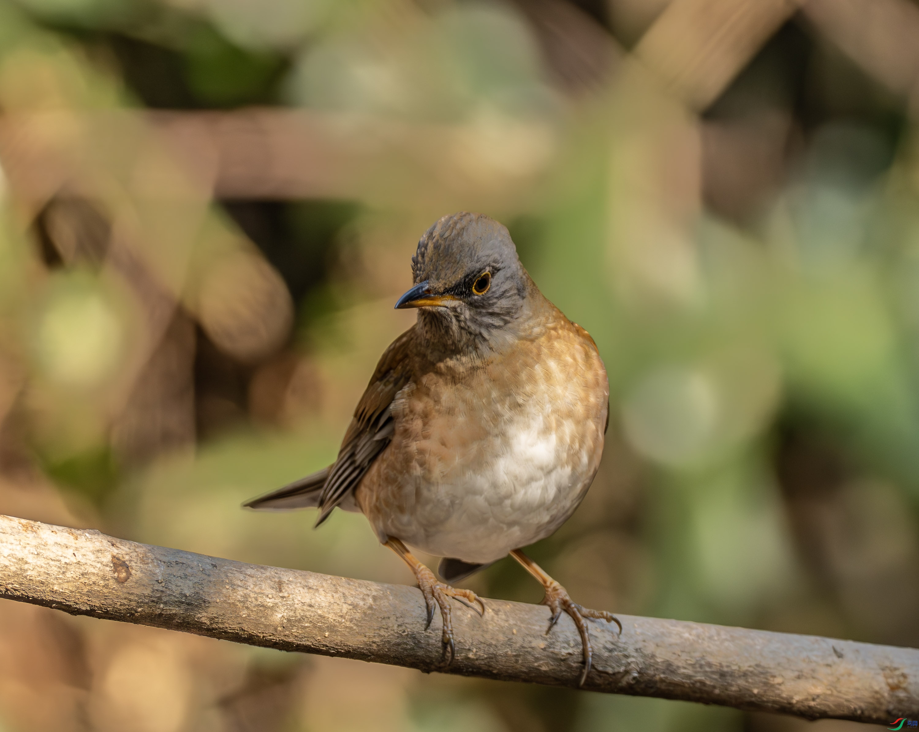 �׸��-03-5.jpg