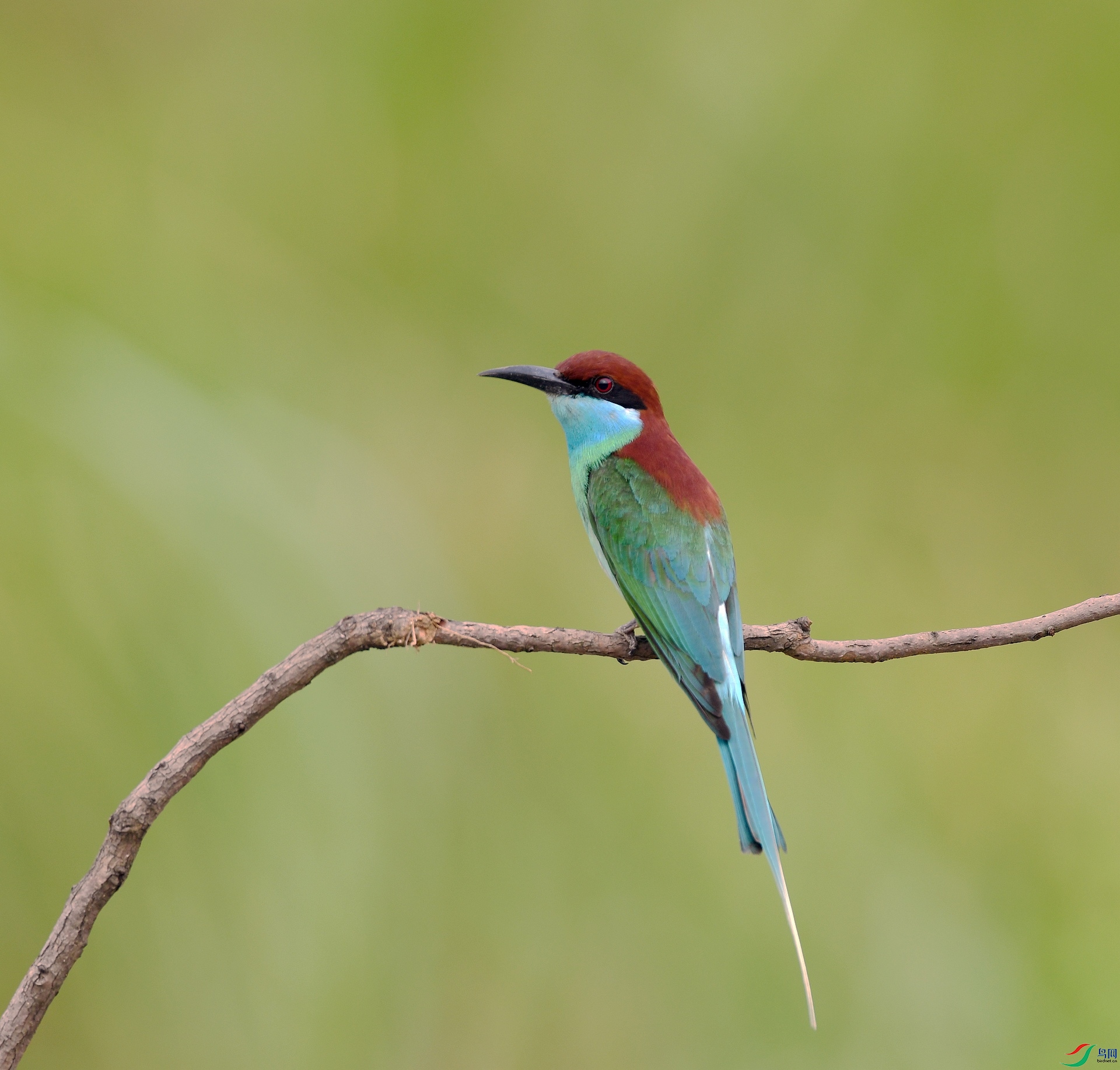 DSC_8055.jpg