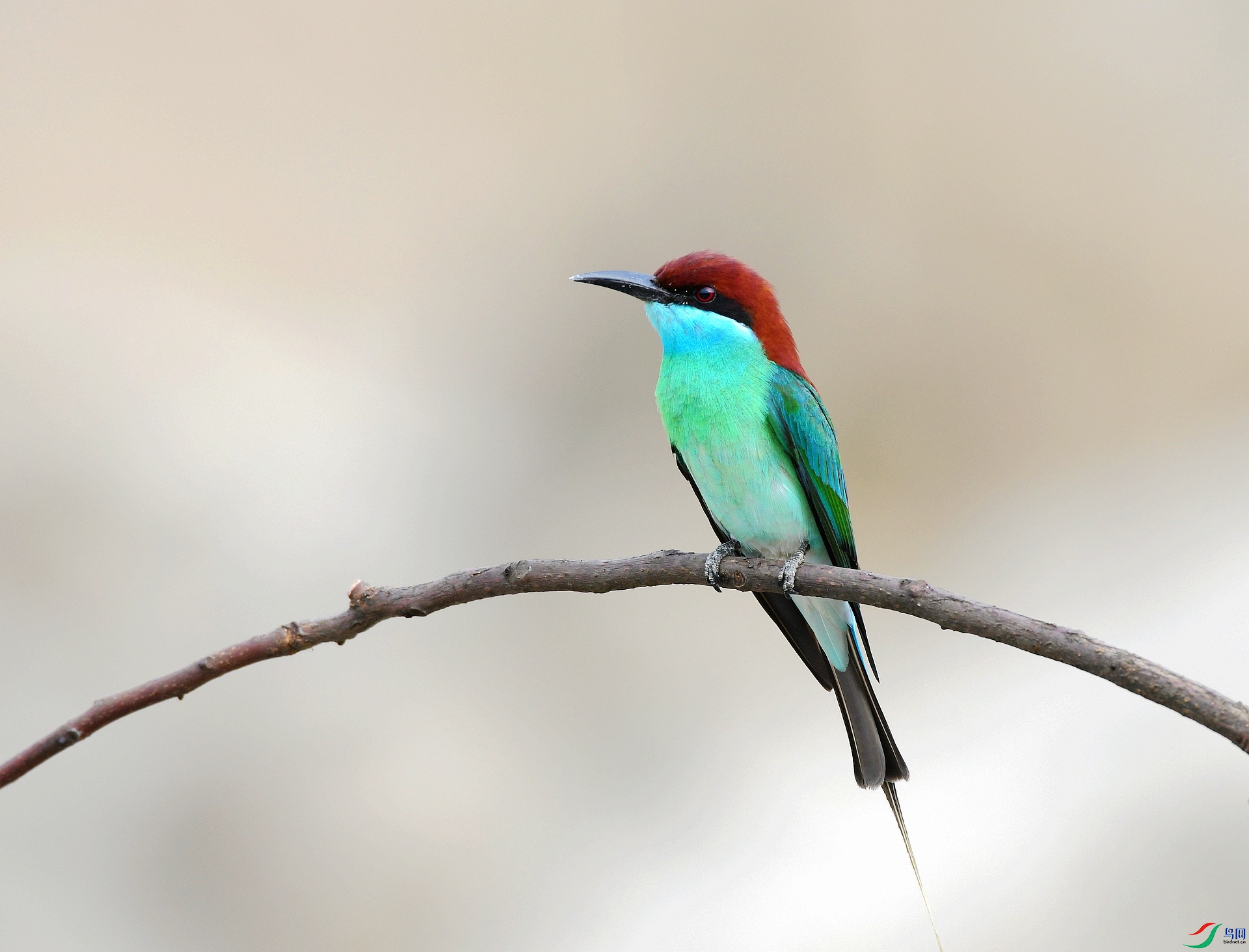 DSC_8047.jpg