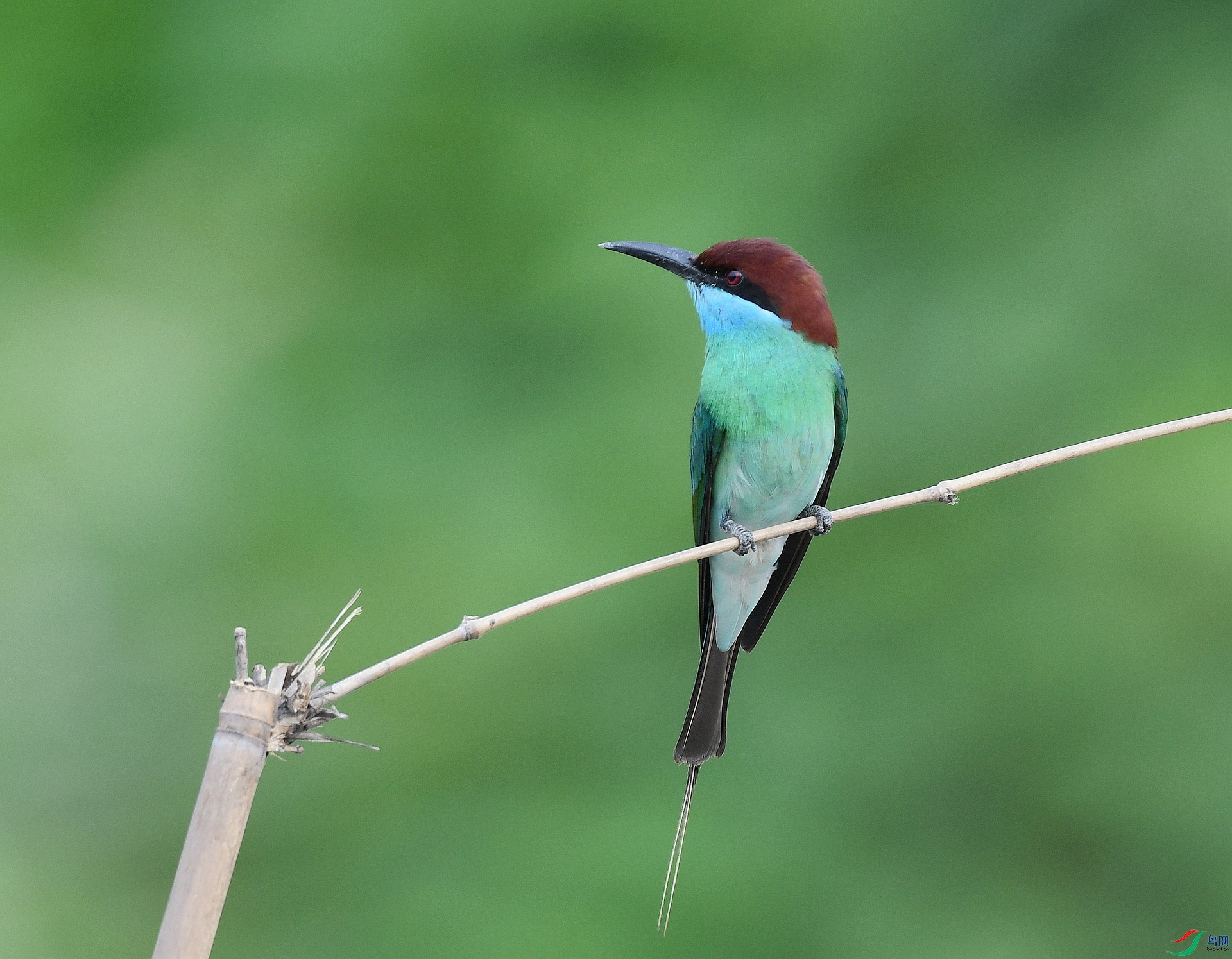 DSC_8092.jpg